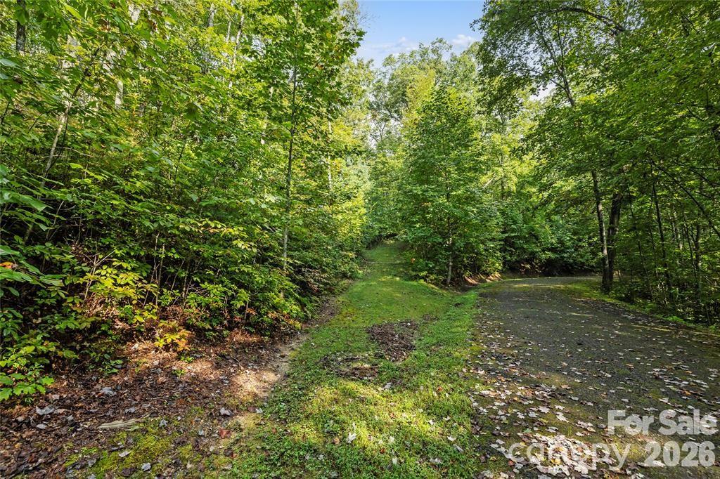 Tbd Barts Branch Drive 16 Property Photo 7
