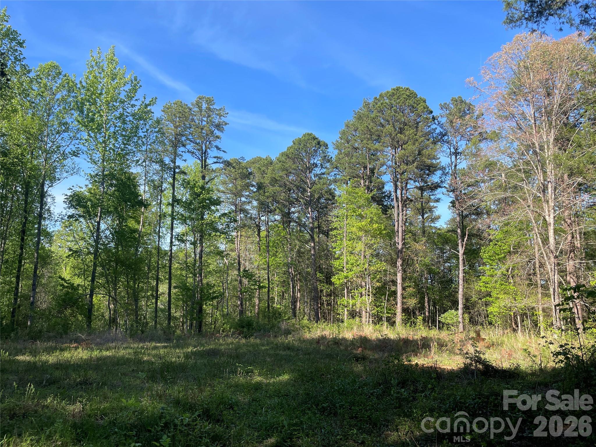 4006 Old Salisbury Concord Road Property Photo 6