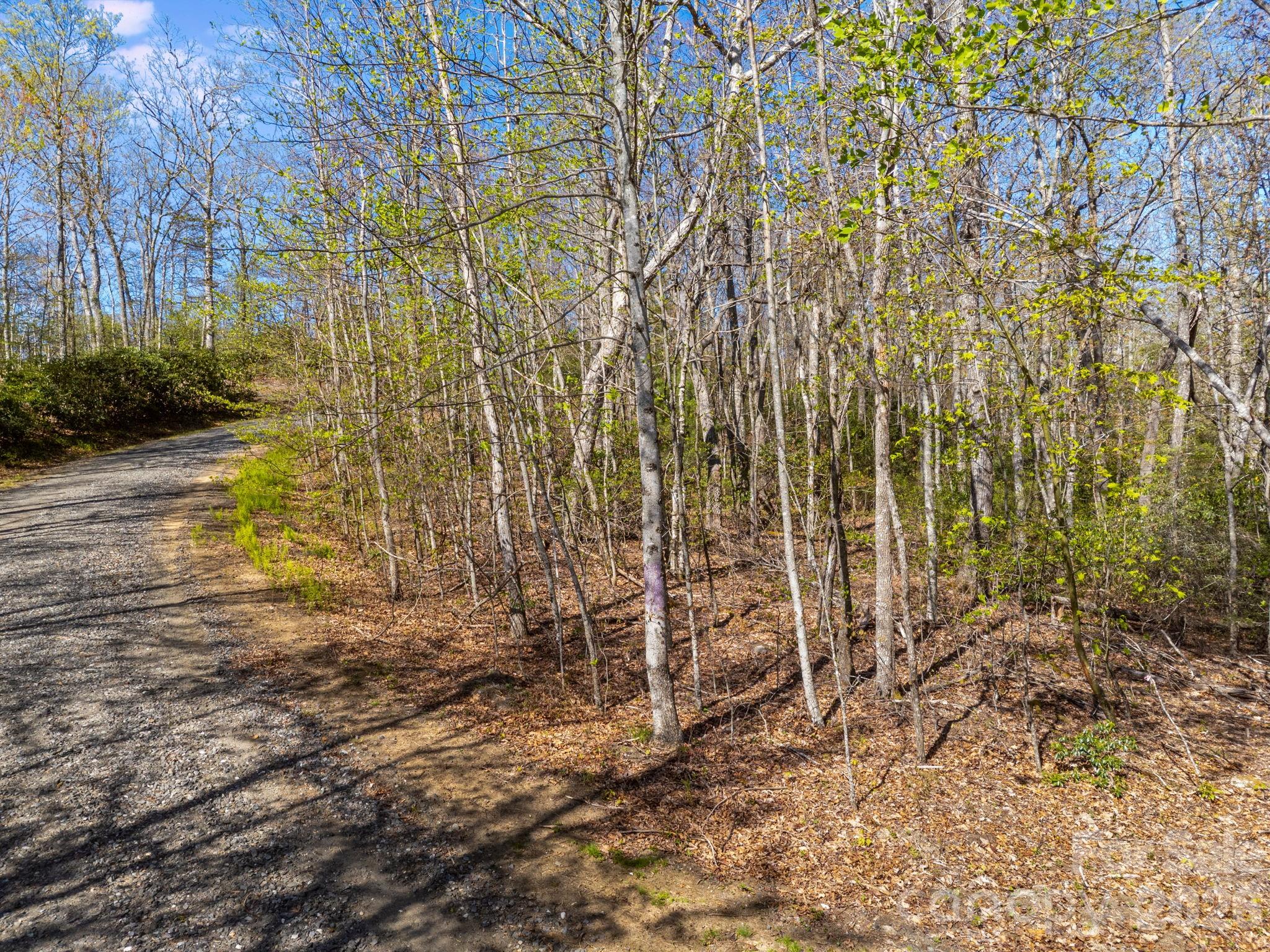 Lot 27 Trails End Road 27 Property Photo 4