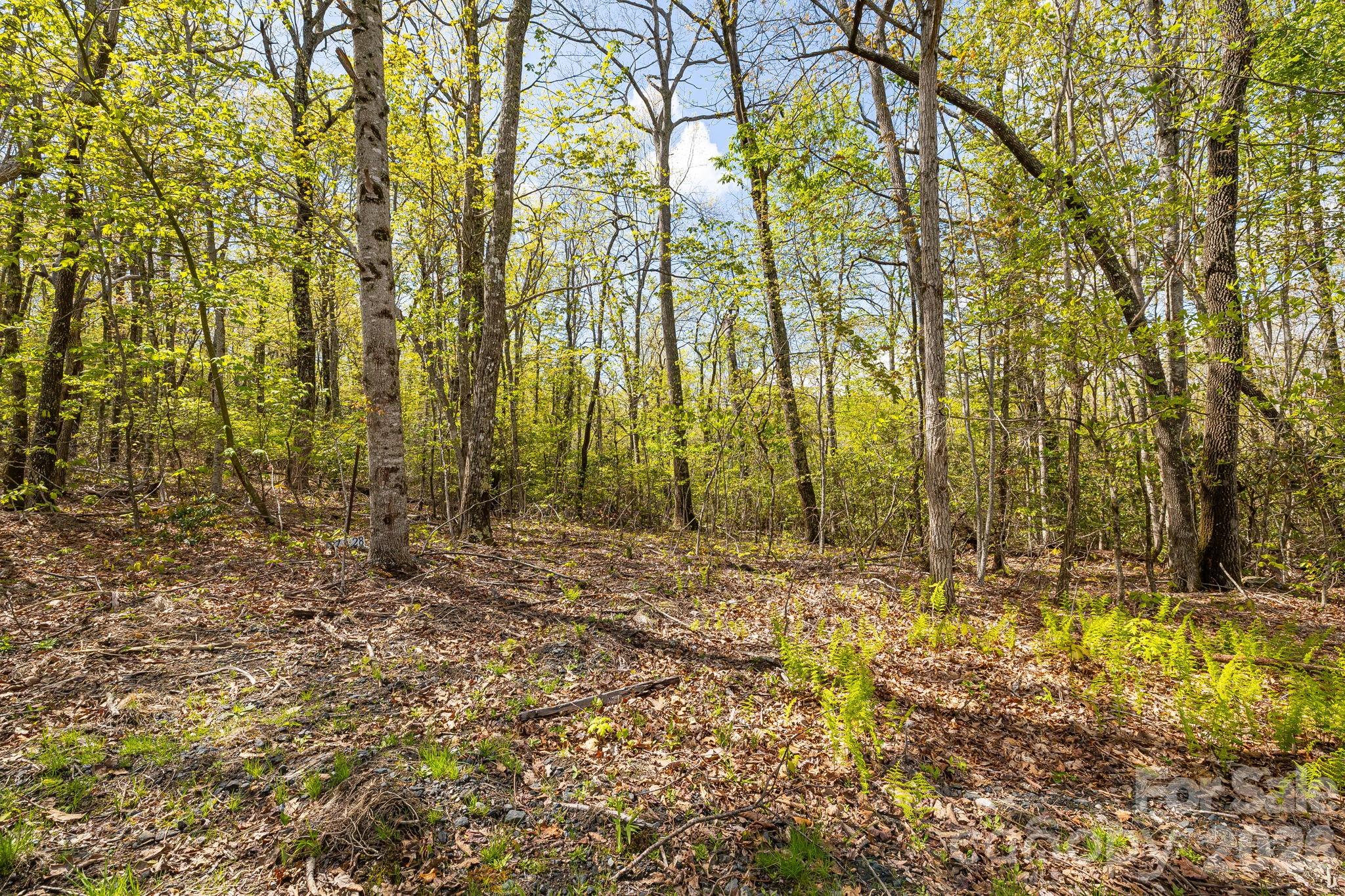 Lot 27 Trails End Road 27 Property Photo 5