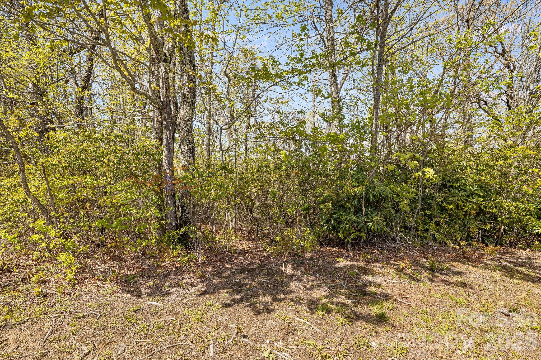 Lot 27 Trails End Road 27 Property Photo 6
