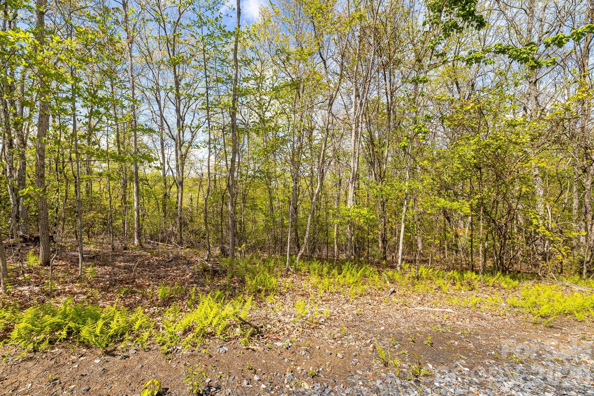 Lot 27 Trails End Road 27 Property Photo 7