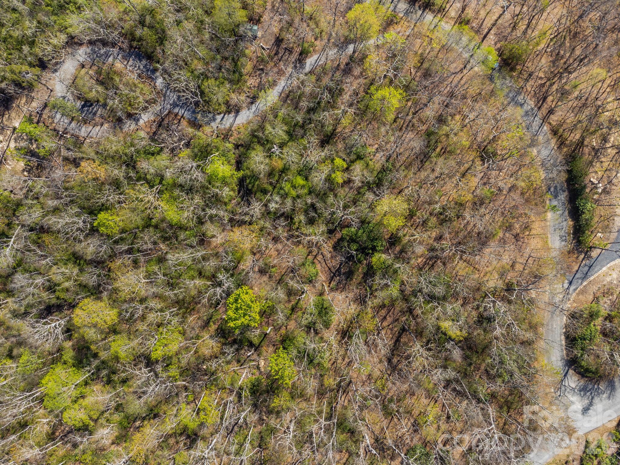 Lot 27 Trails End Road 27 Property Photo 24