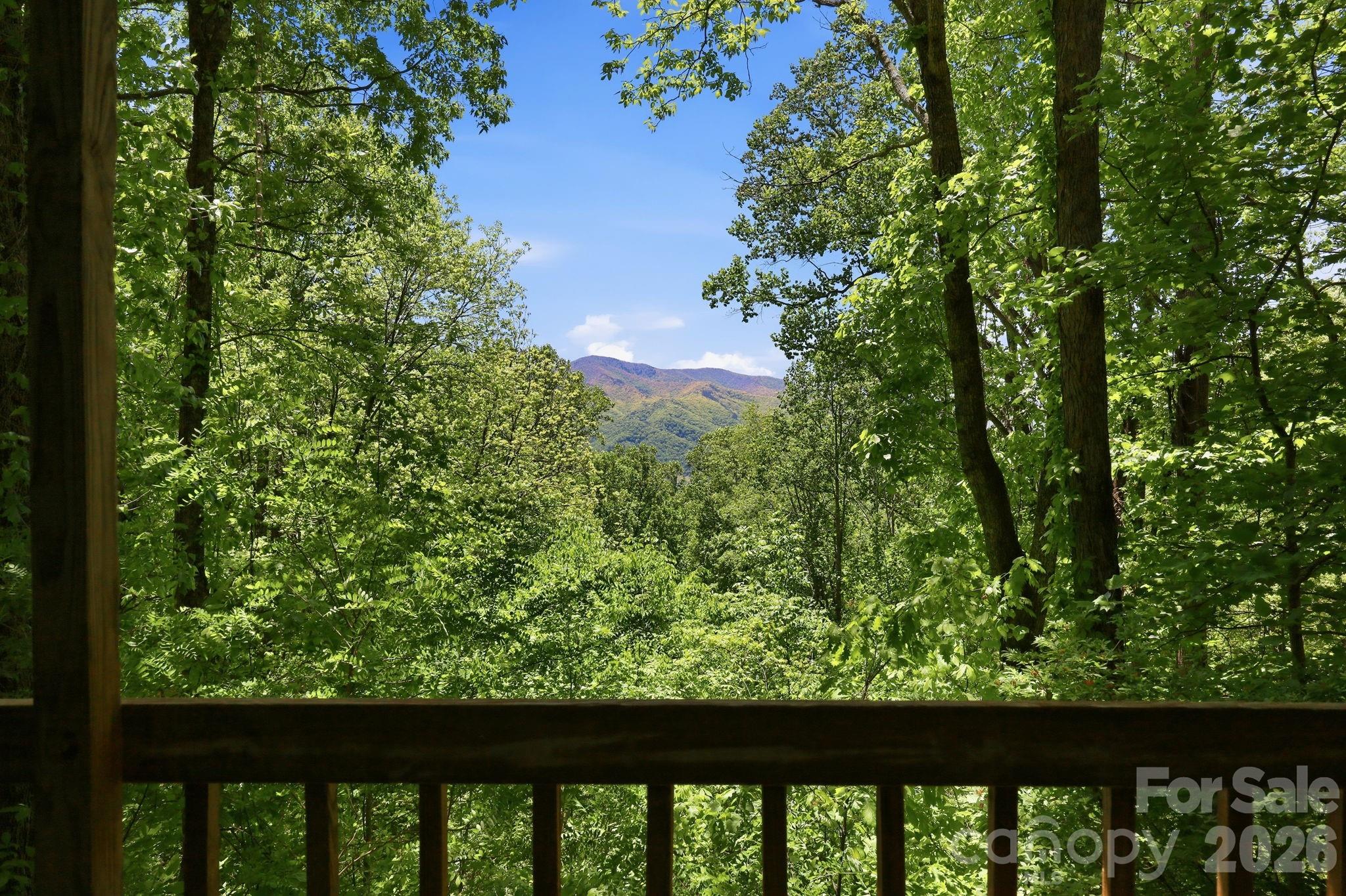 169 Sleepy Hollow Lane Property Photo 28