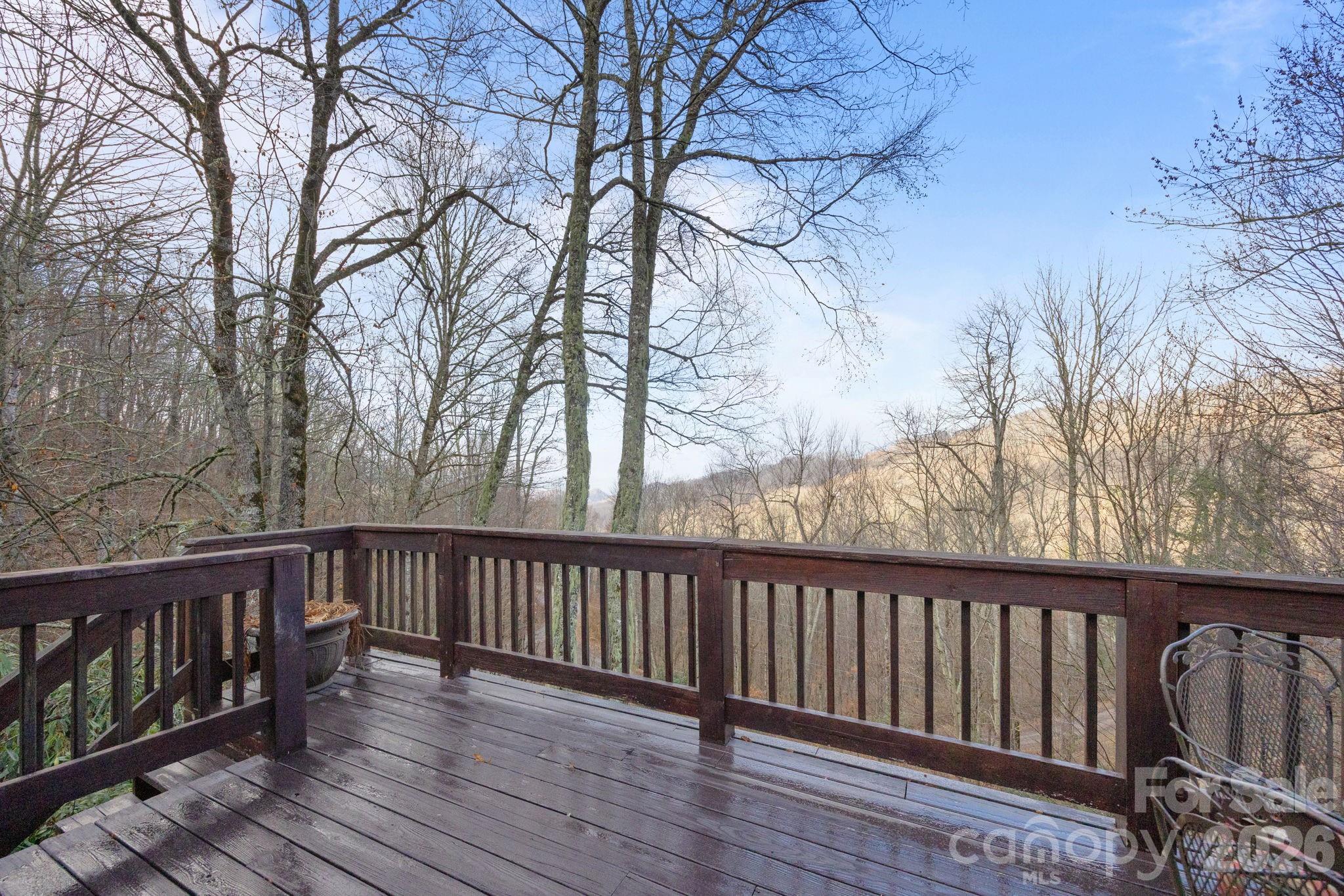959 Plott Balsam Road Property Photo 19