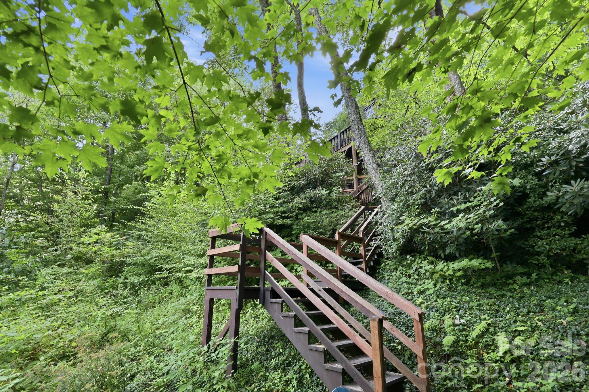 959 Plott Balsam Road Property Photo 41