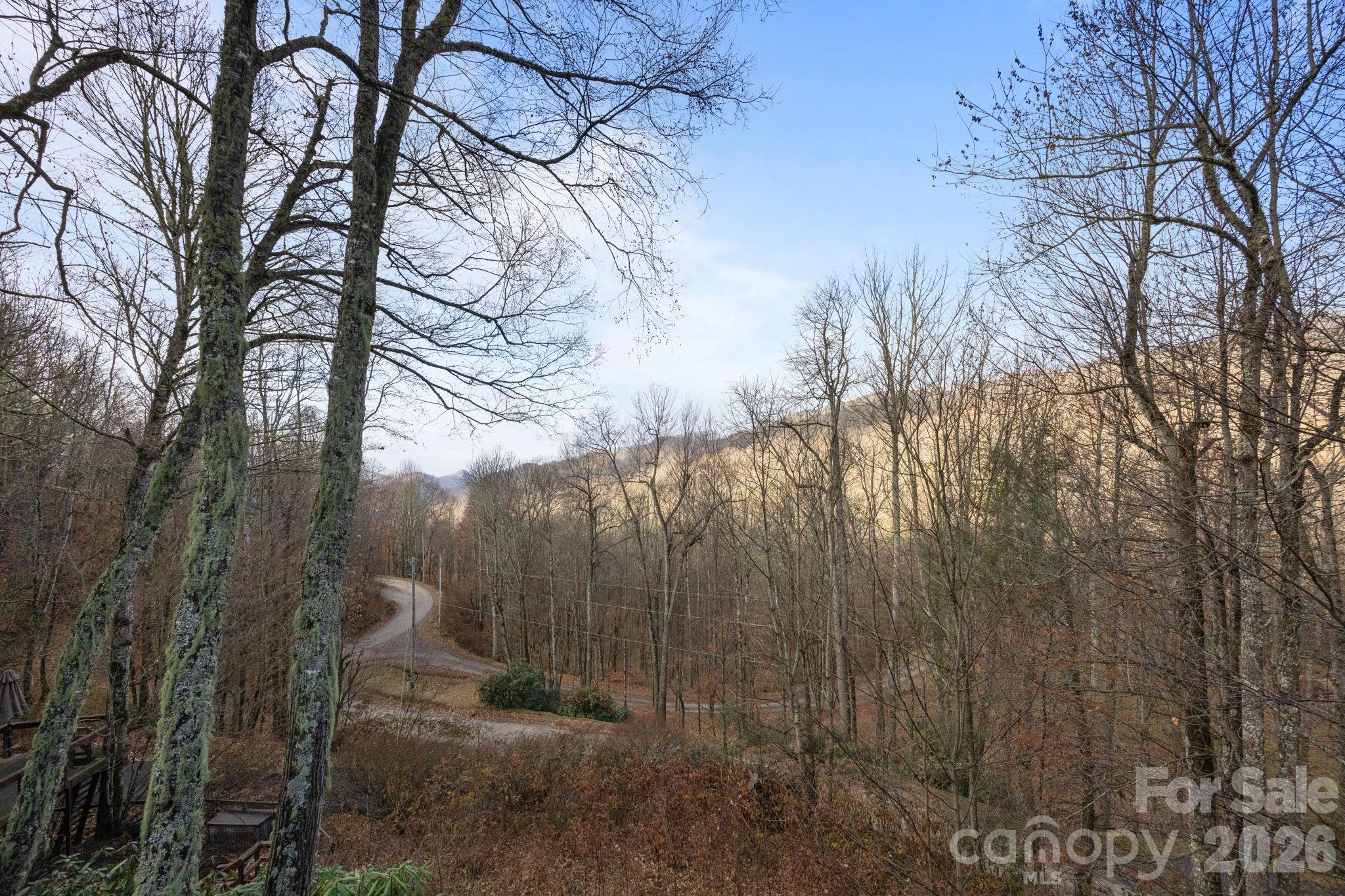 959 Plott Balsam Road Property Photo 44
