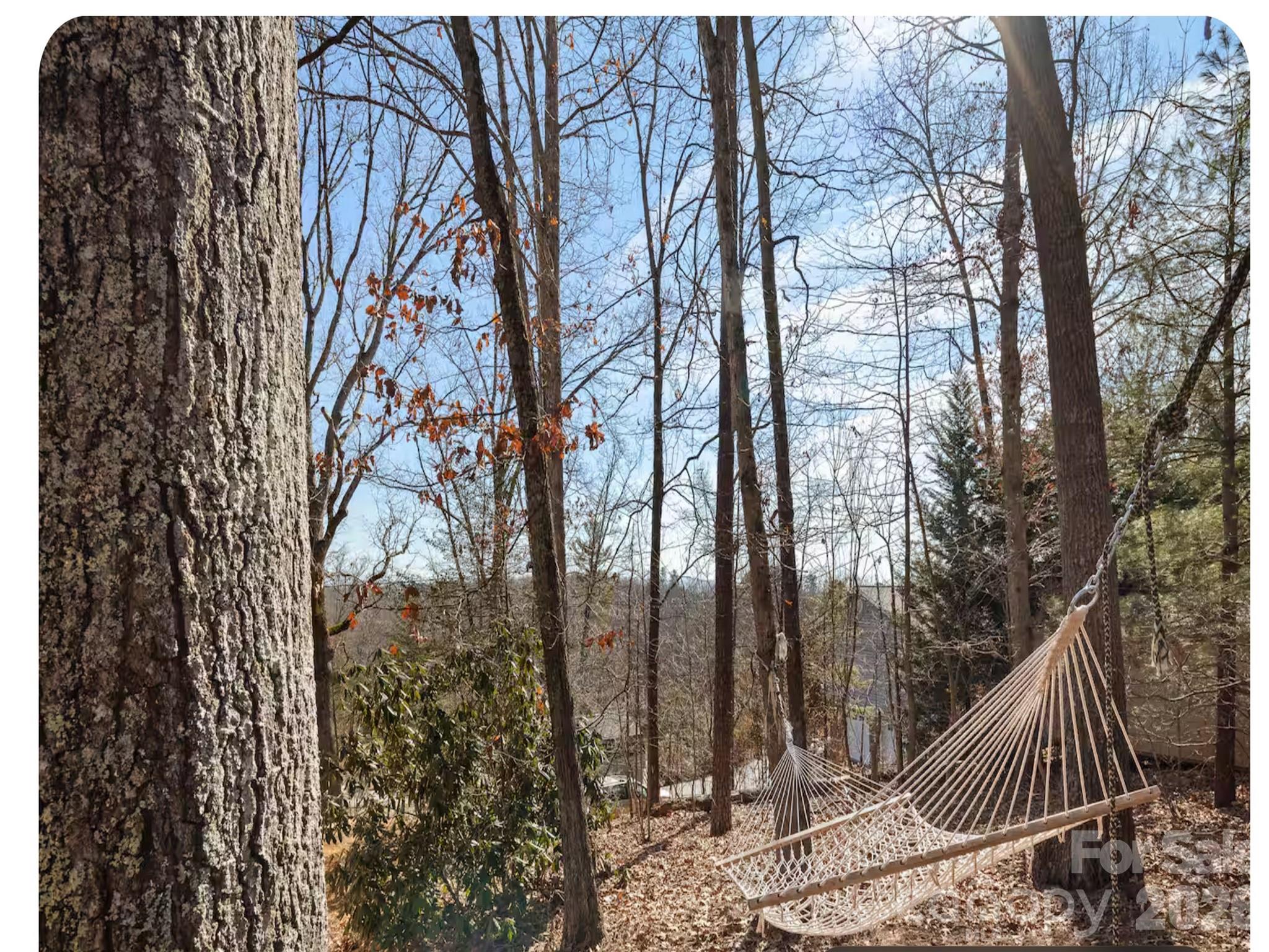 502 Long Shoals Road Property Photo 21