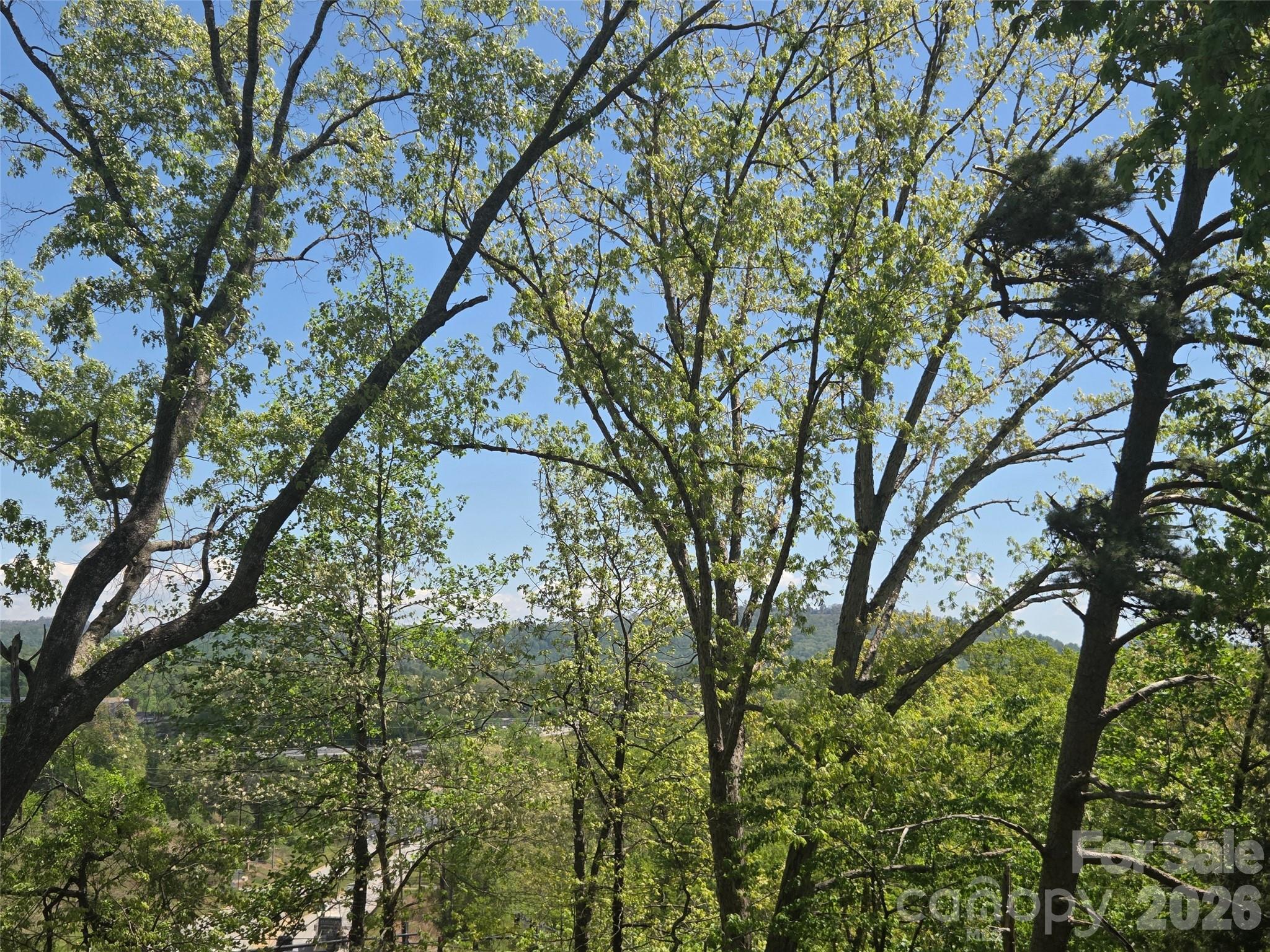 502 Long Shoals Road Property Photo 30