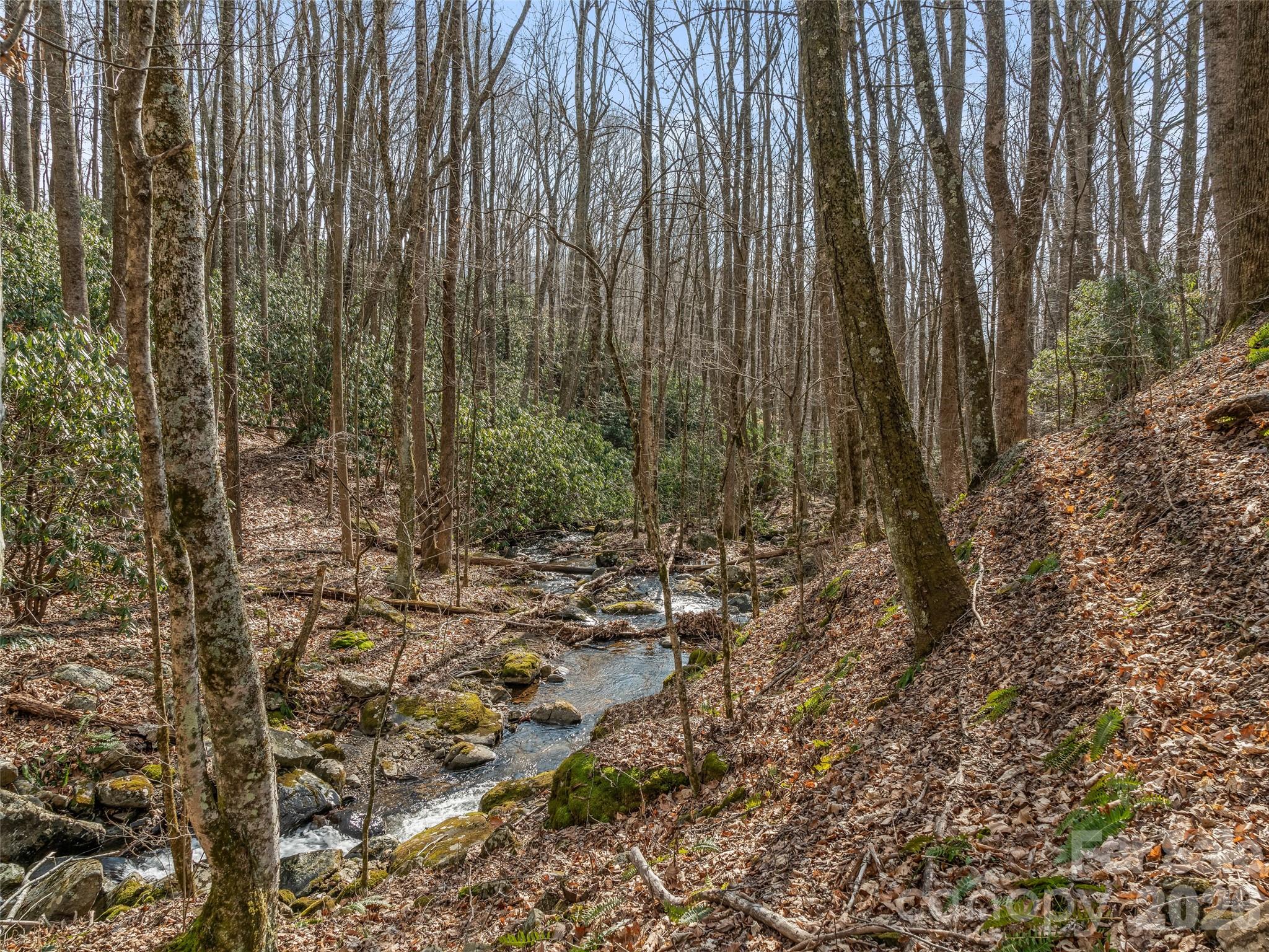 625 Cook Town Road Property Photo 11