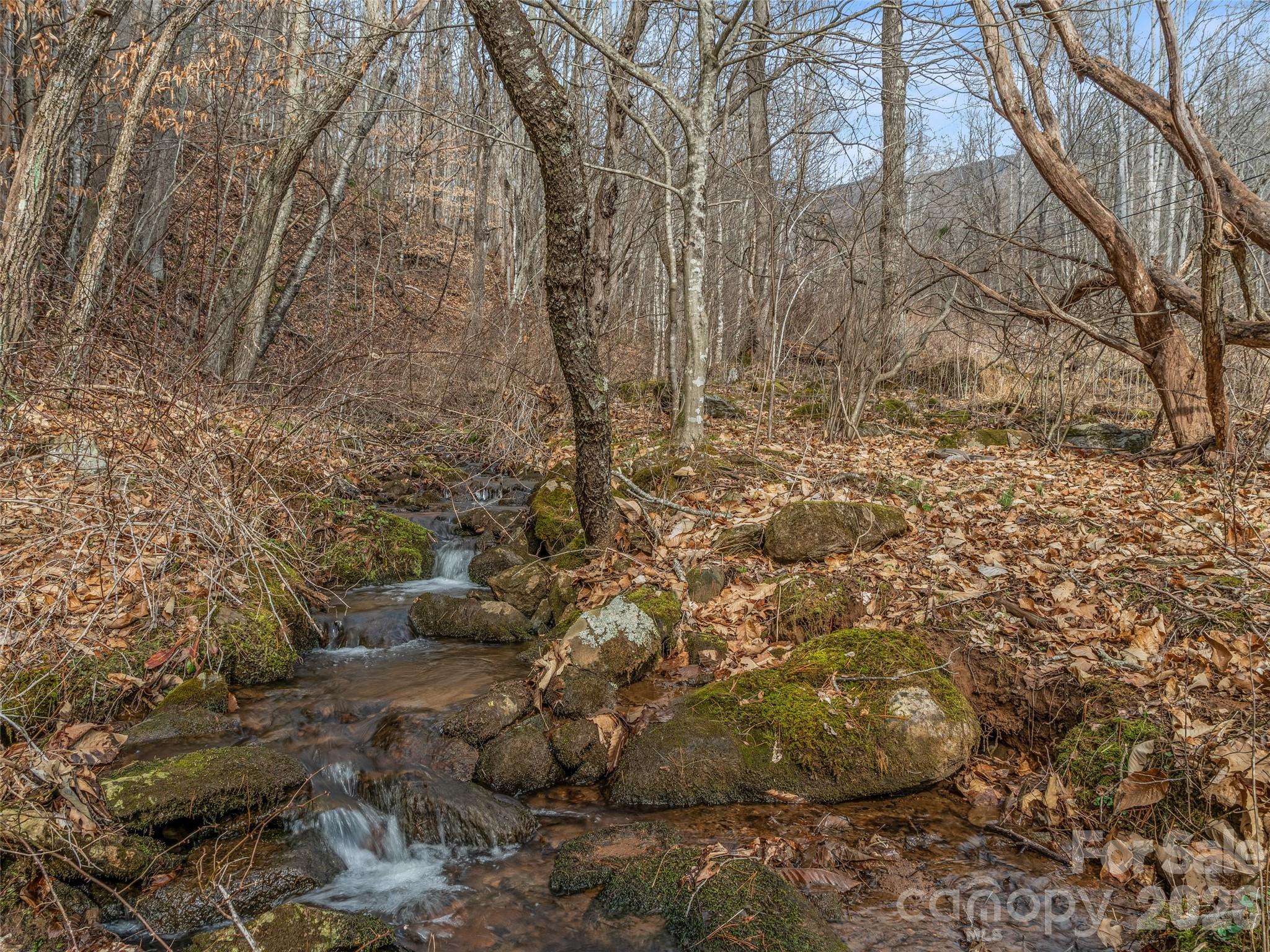625 Cook Town Road Property Photo 12