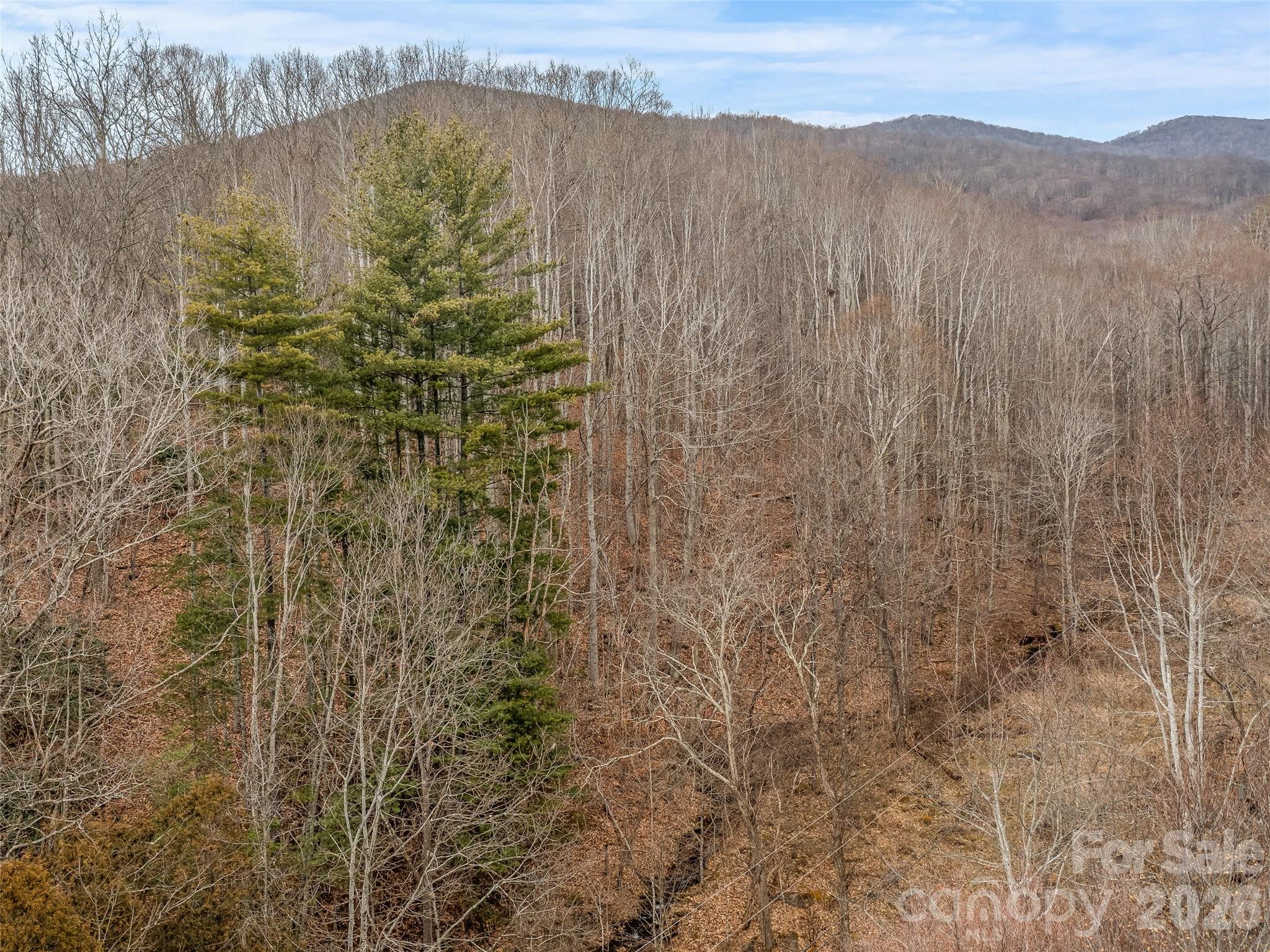 625 Cook Town Road Property Photo 13