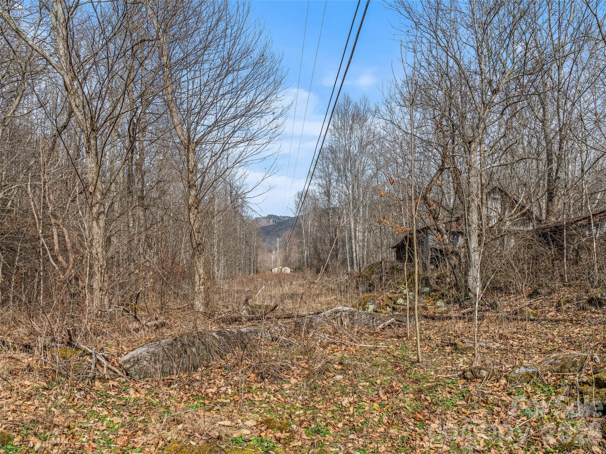 625 Cook Town Road Property Photo 15