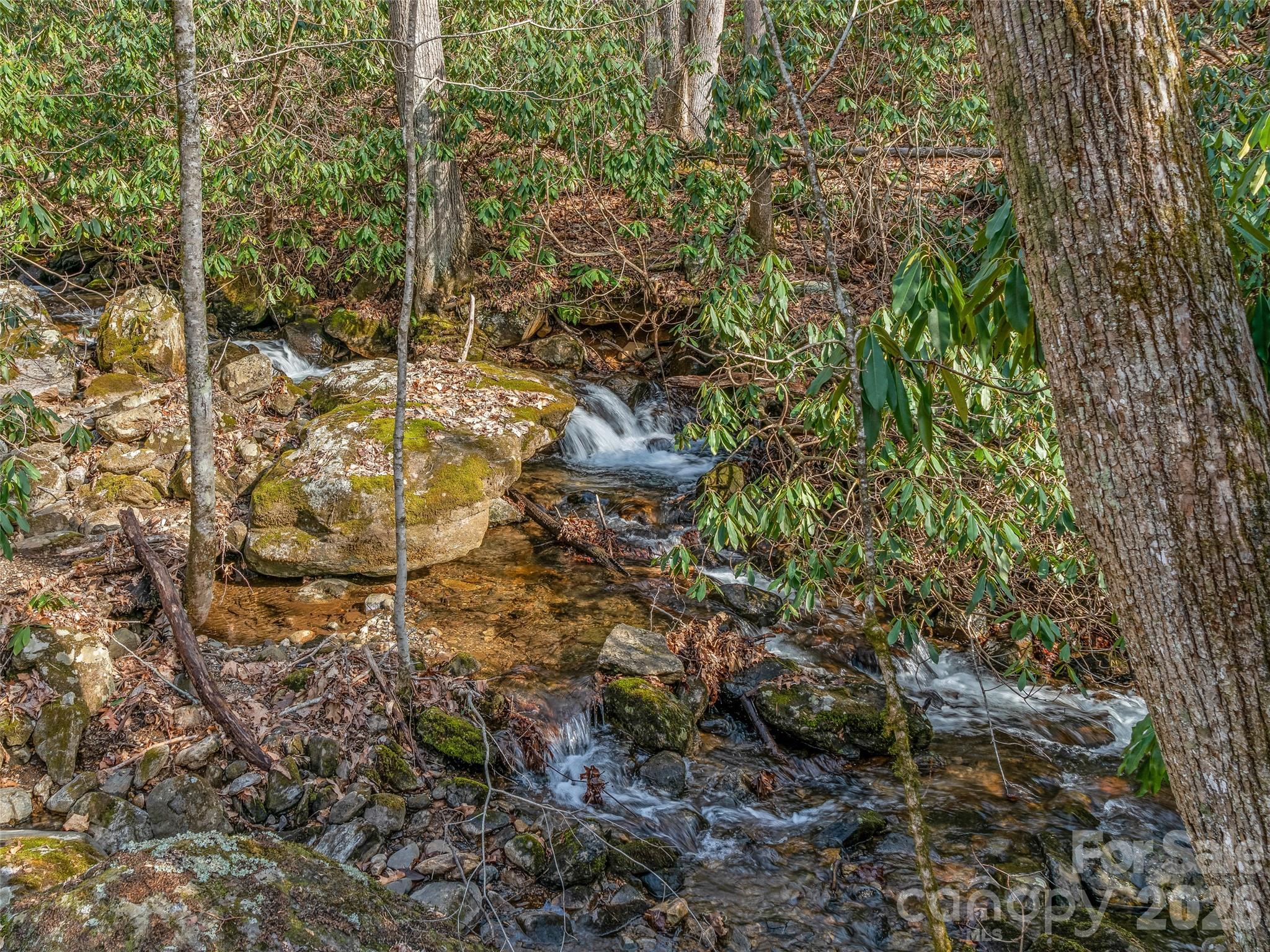 625 Cook Town Road Property Photo 36