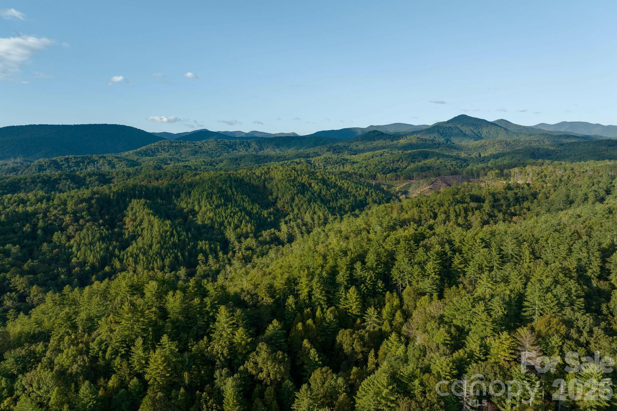 2108 River Hill Road Property Photo 3