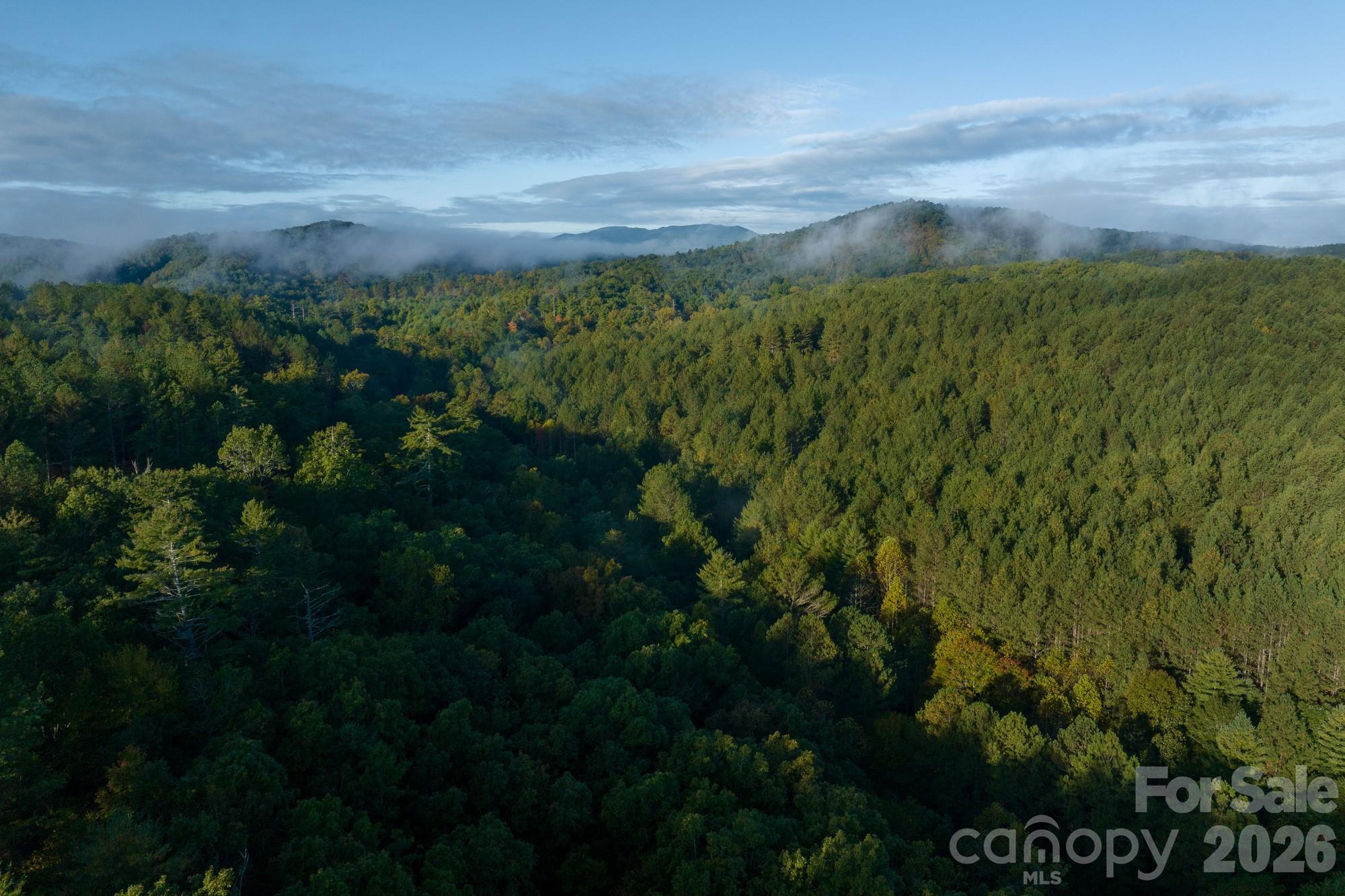 2108 River Hill Road Property Photo 4
