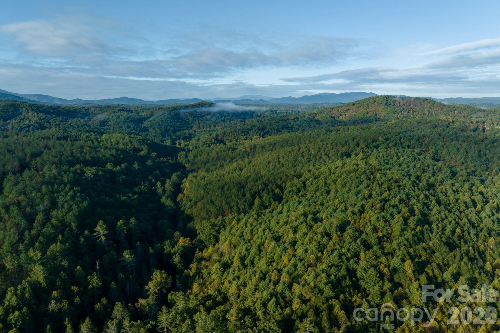 2108 River Hill Road Property Photo 6
