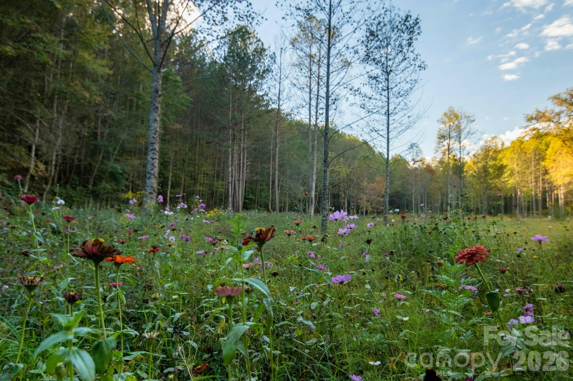 2108 River Hill Road Property Photo 25