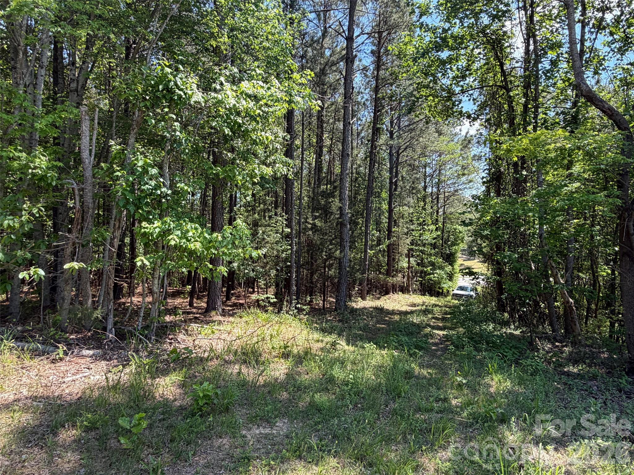 2607 Lockhart Highway Property Photo 6