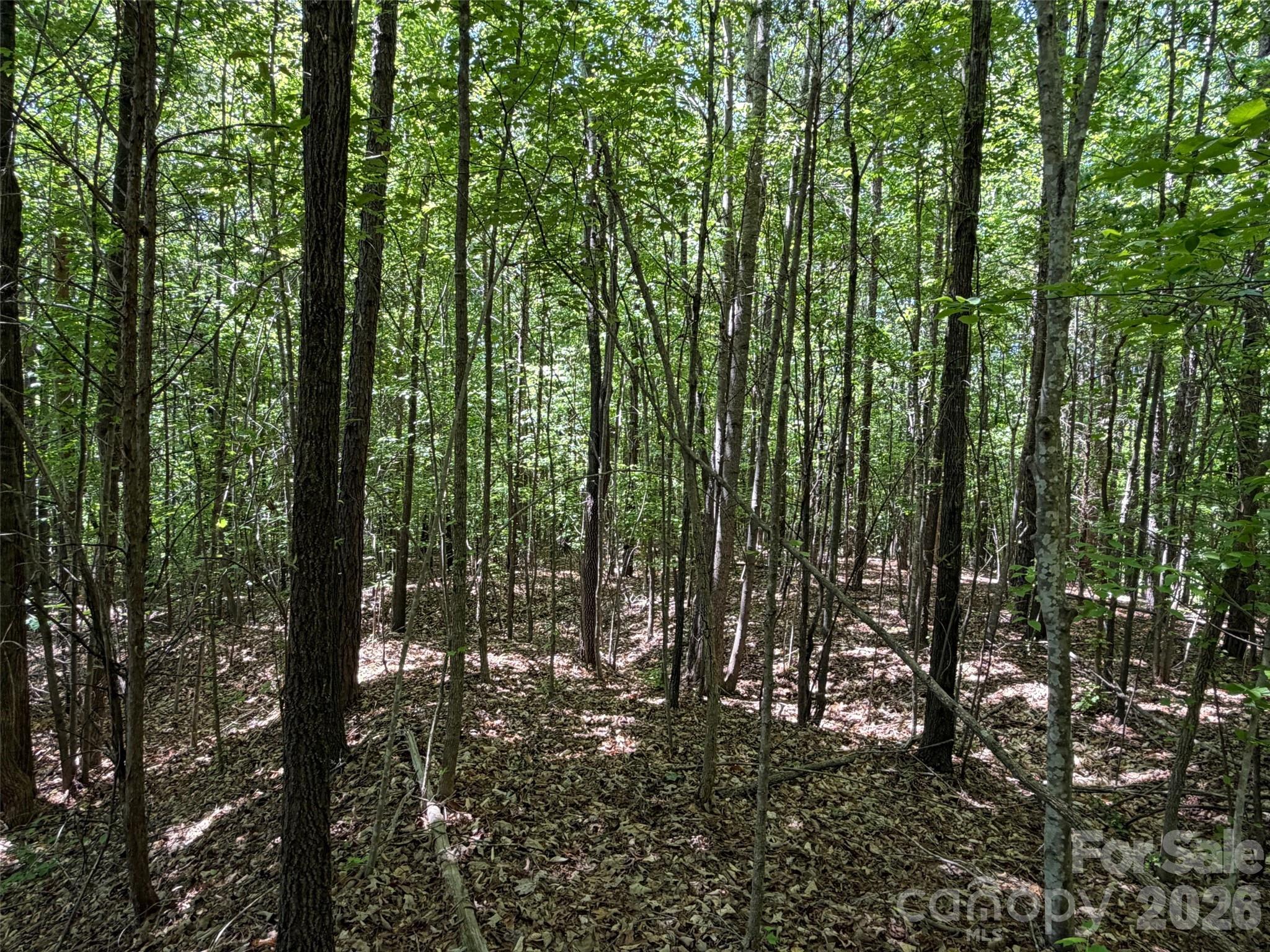 2607 Lockhart Highway Property Photo 8