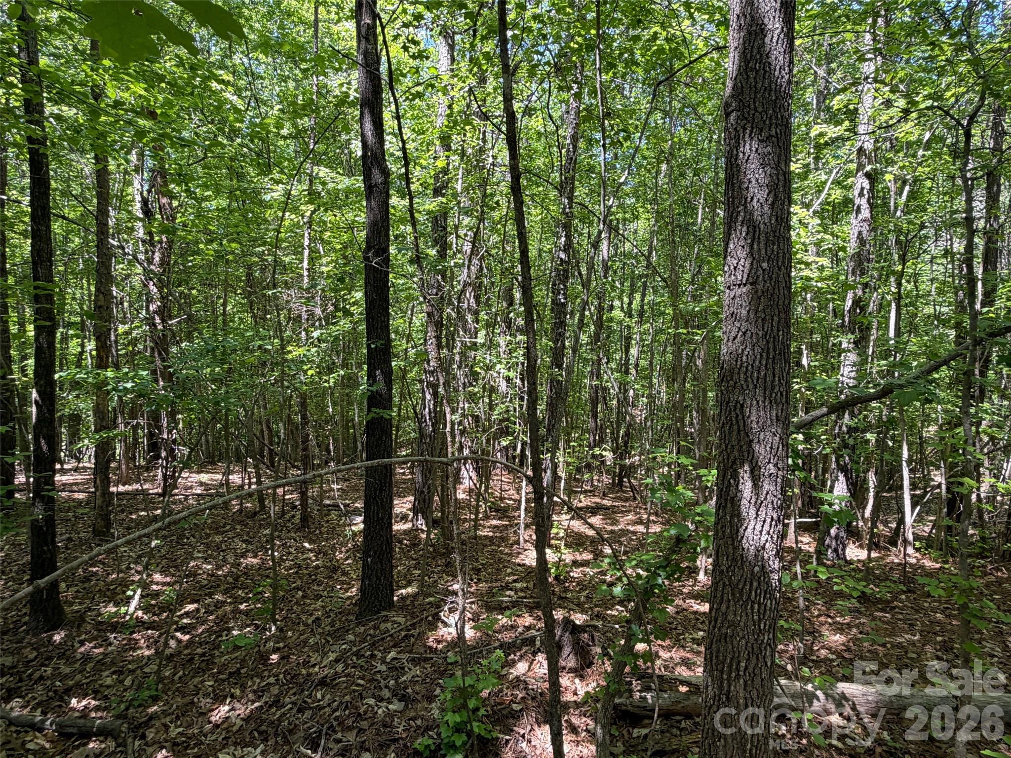 2607 Lockhart Highway Property Photo 9
