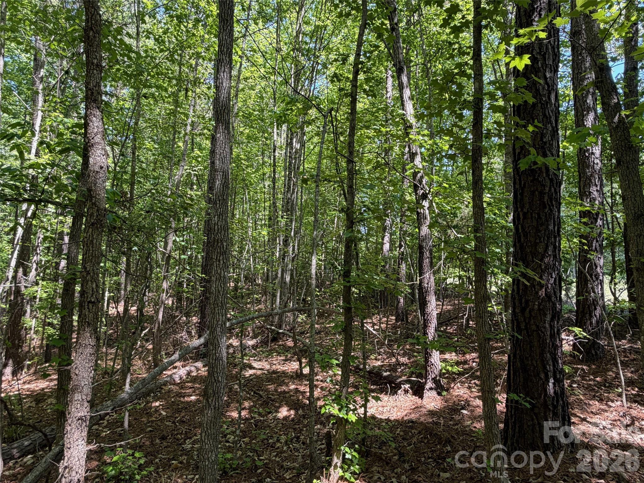 2607 Lockhart Highway Property Photo 10