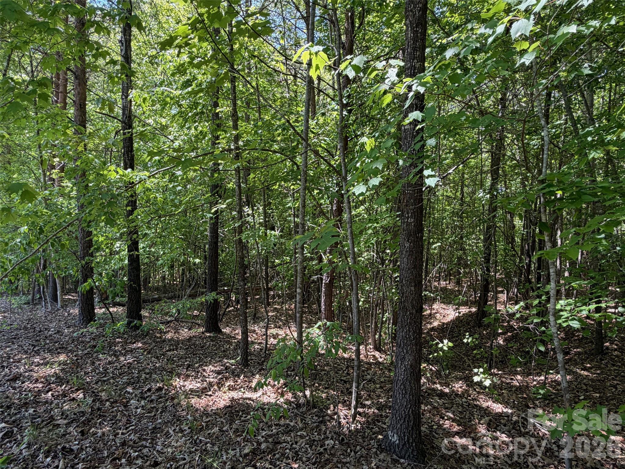 2607 Lockhart Highway Property Photo 11