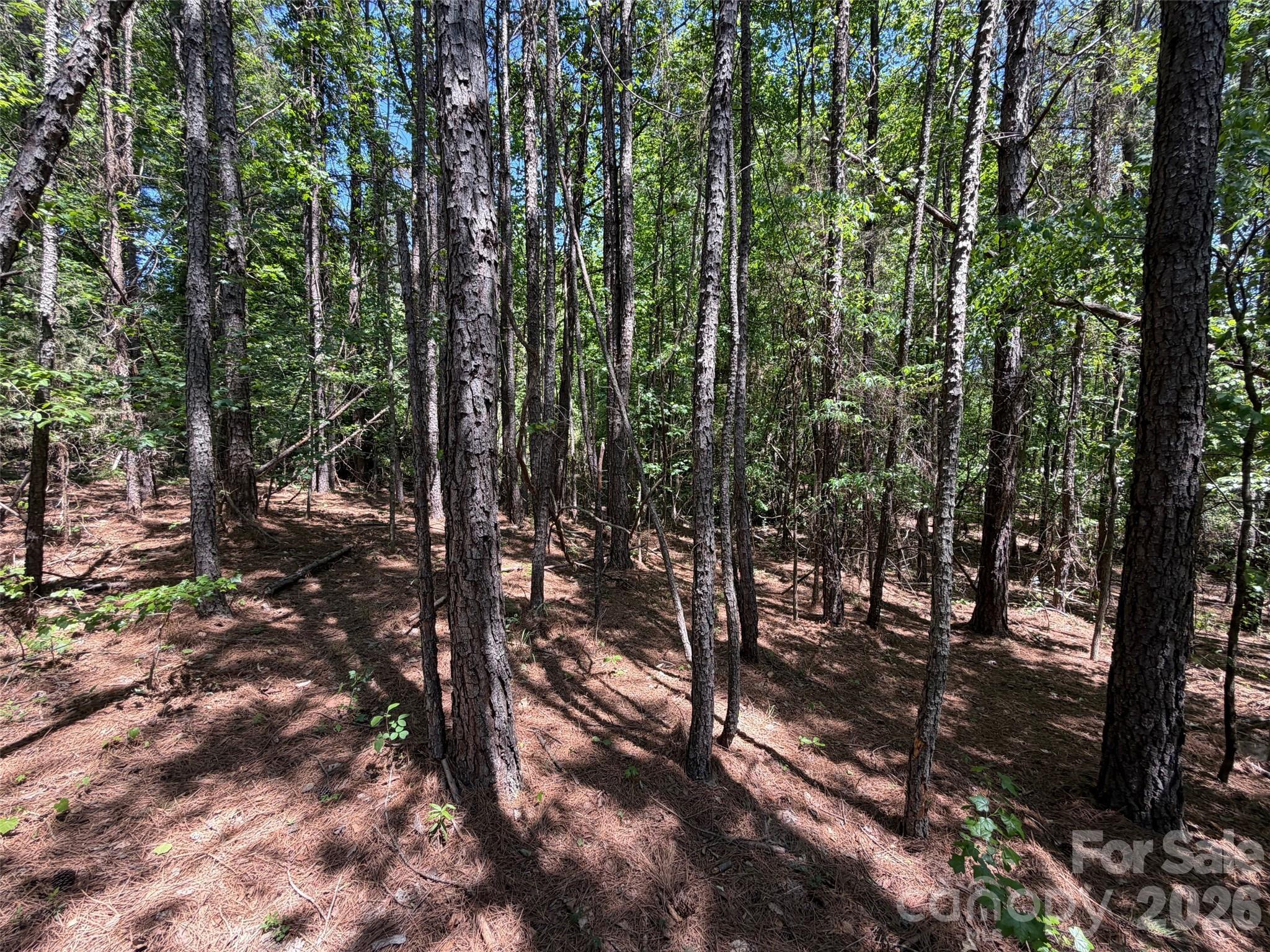 2607 Lockhart Highway Property Photo 12