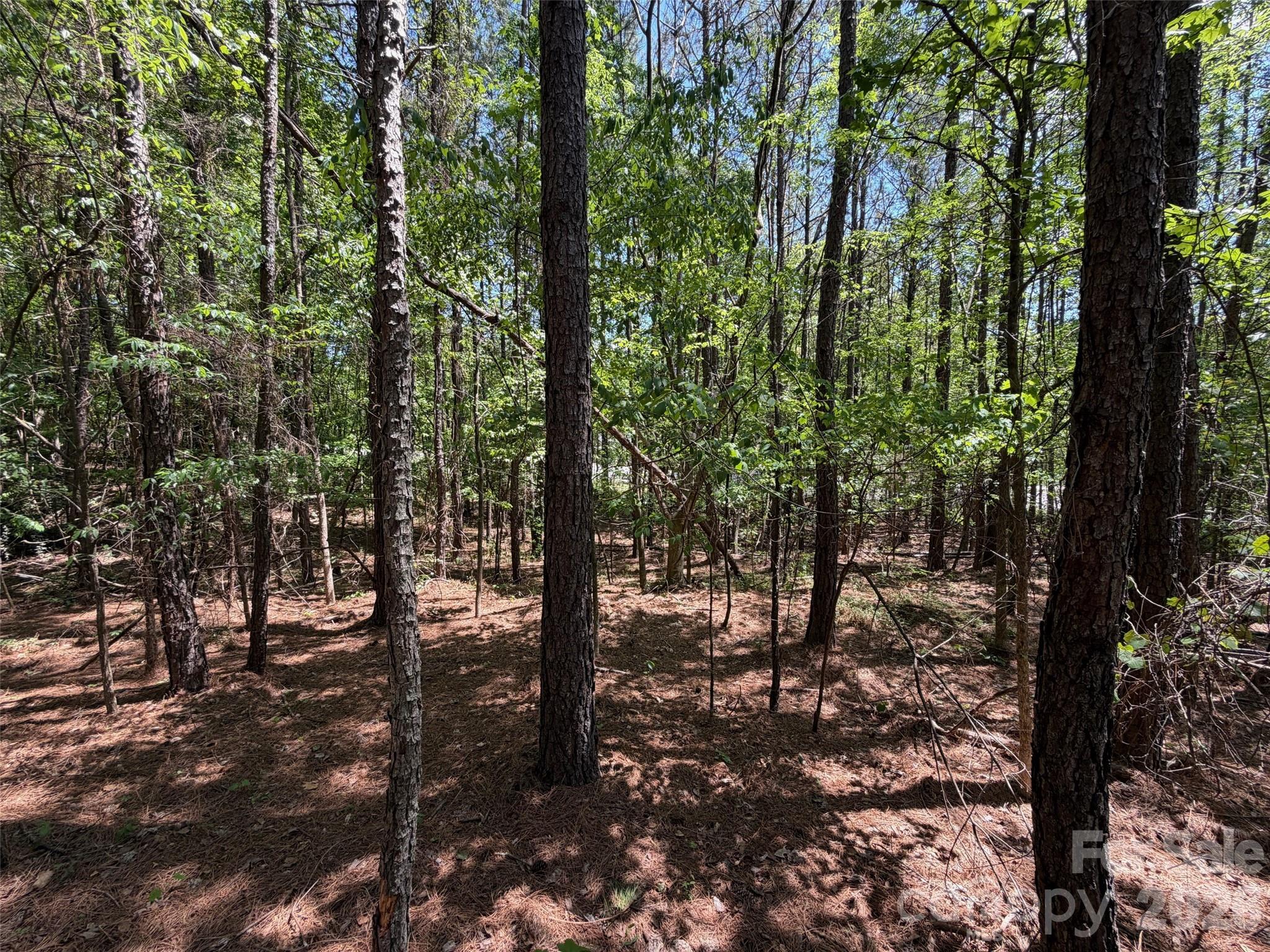 2607 Lockhart Highway Property Photo 13
