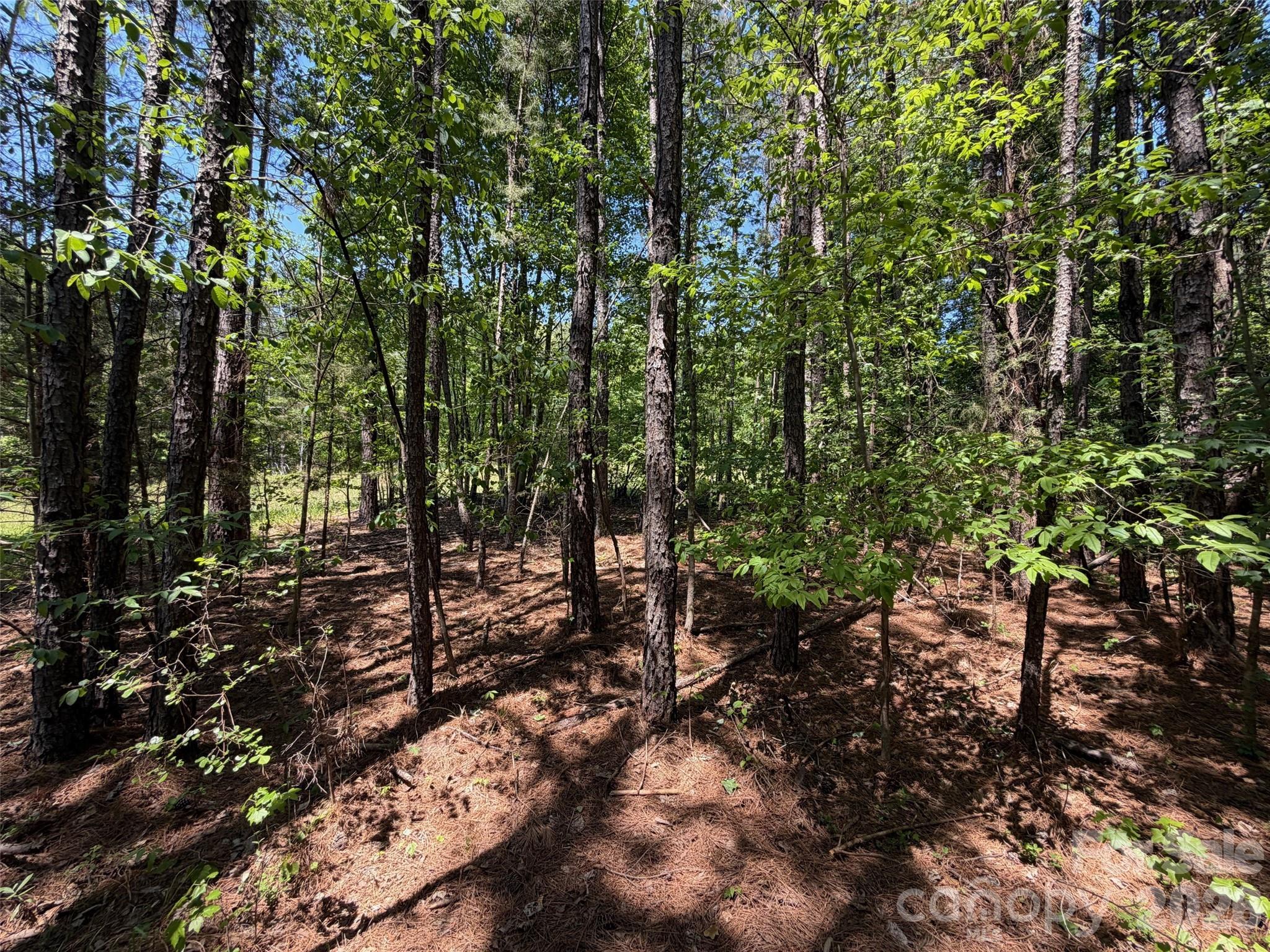 2607 Lockhart Highway Property Photo 14