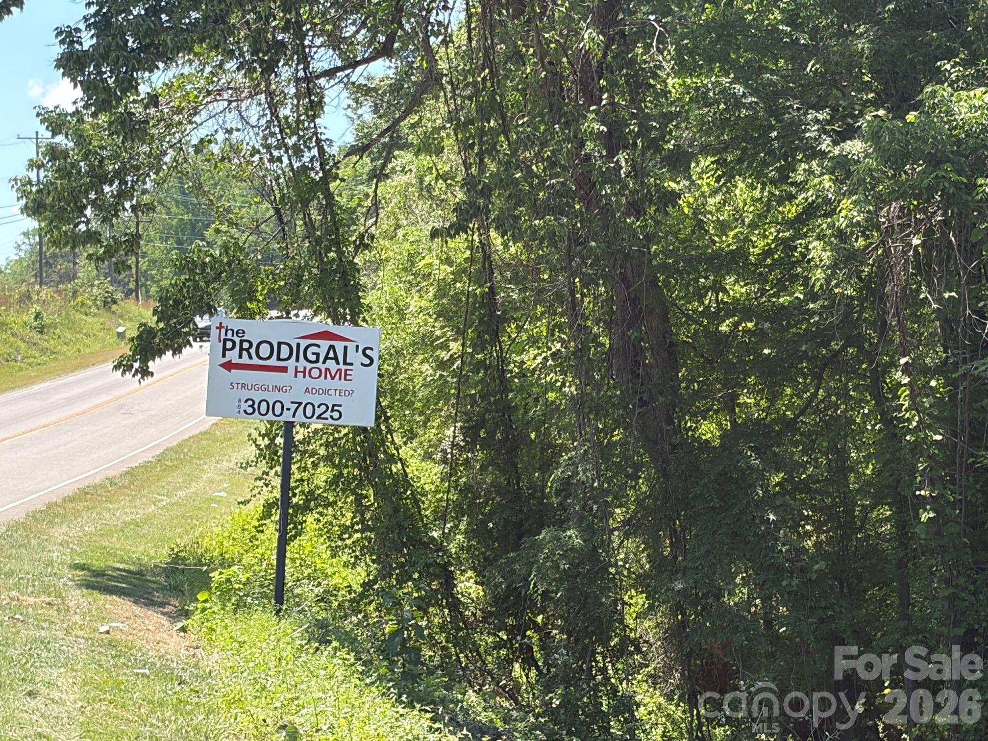 2607 Lockhart Highway Property Photo 19