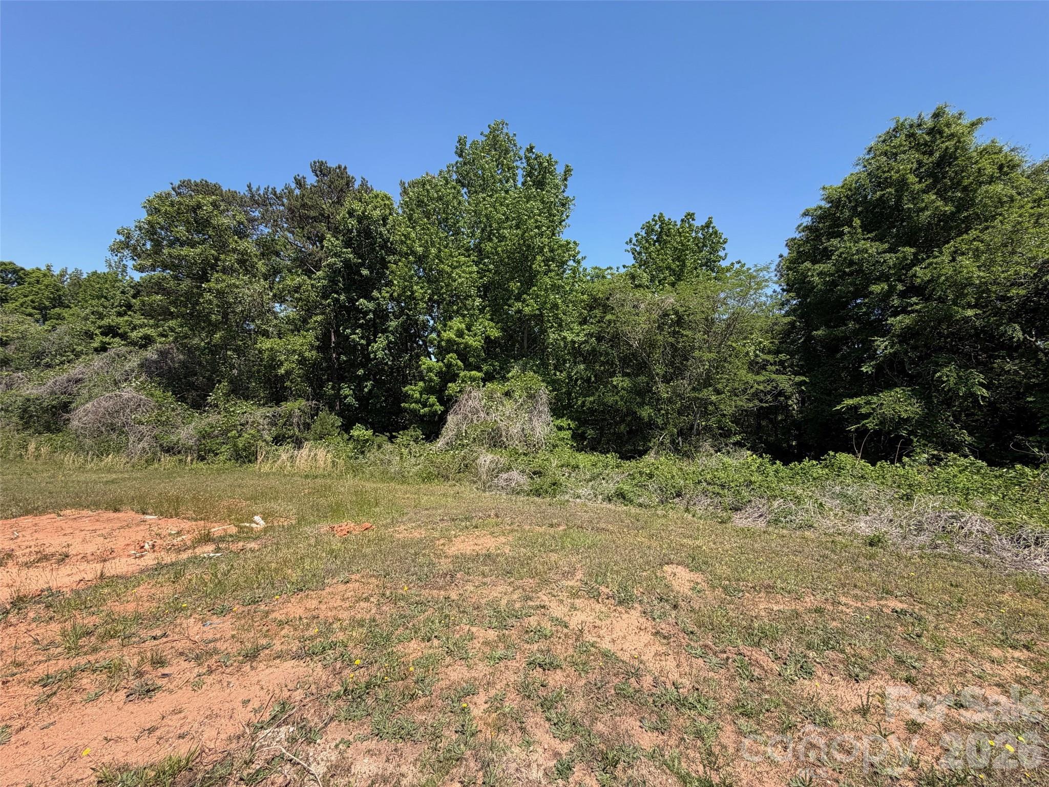 2529 Lockhart Highway Property Photo 4