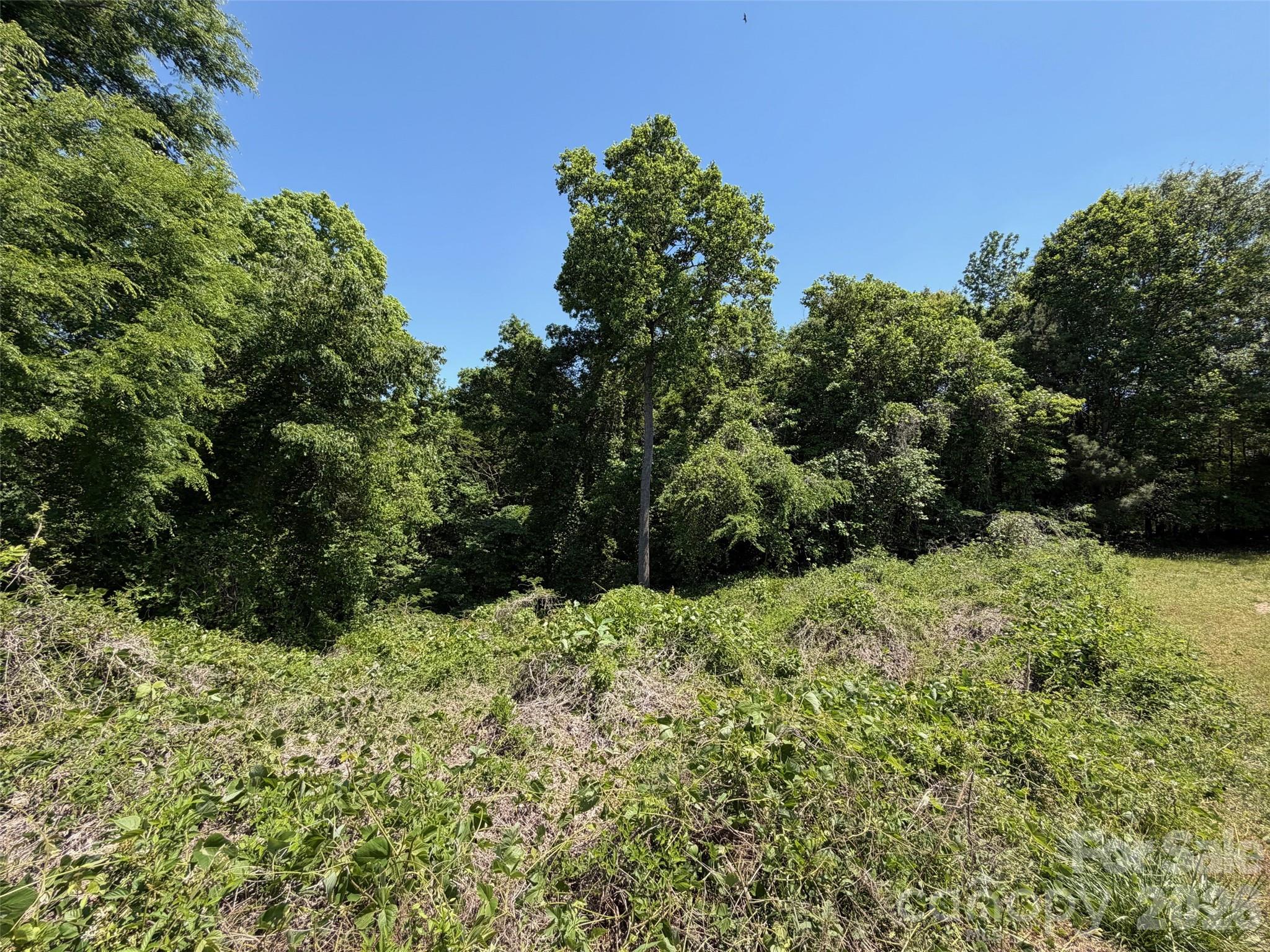 2529 Lockhart Highway Property Photo 11