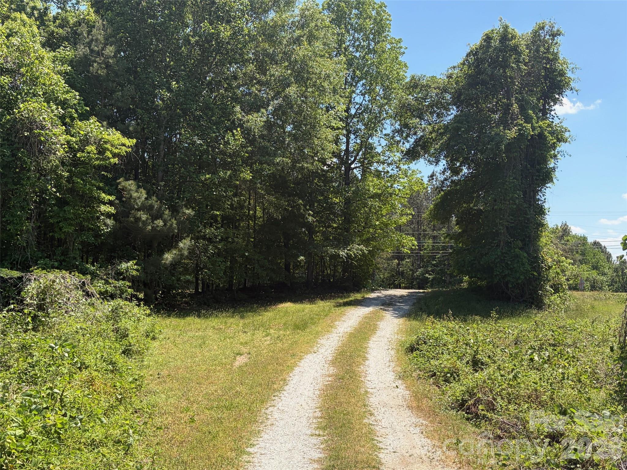 2529 Lockhart Highway Property Photo 12