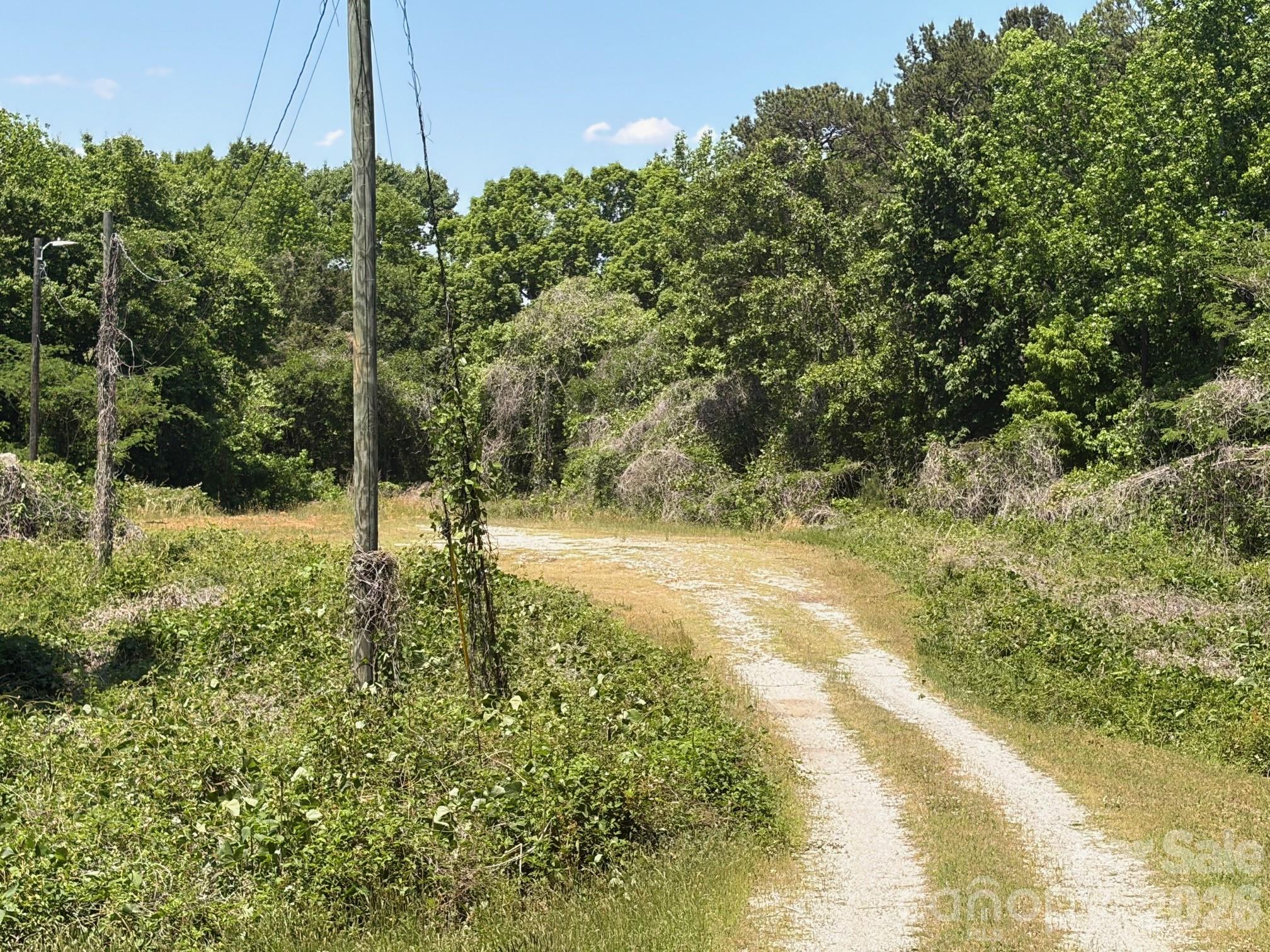 2529 Lockhart Highway Property Photo 13