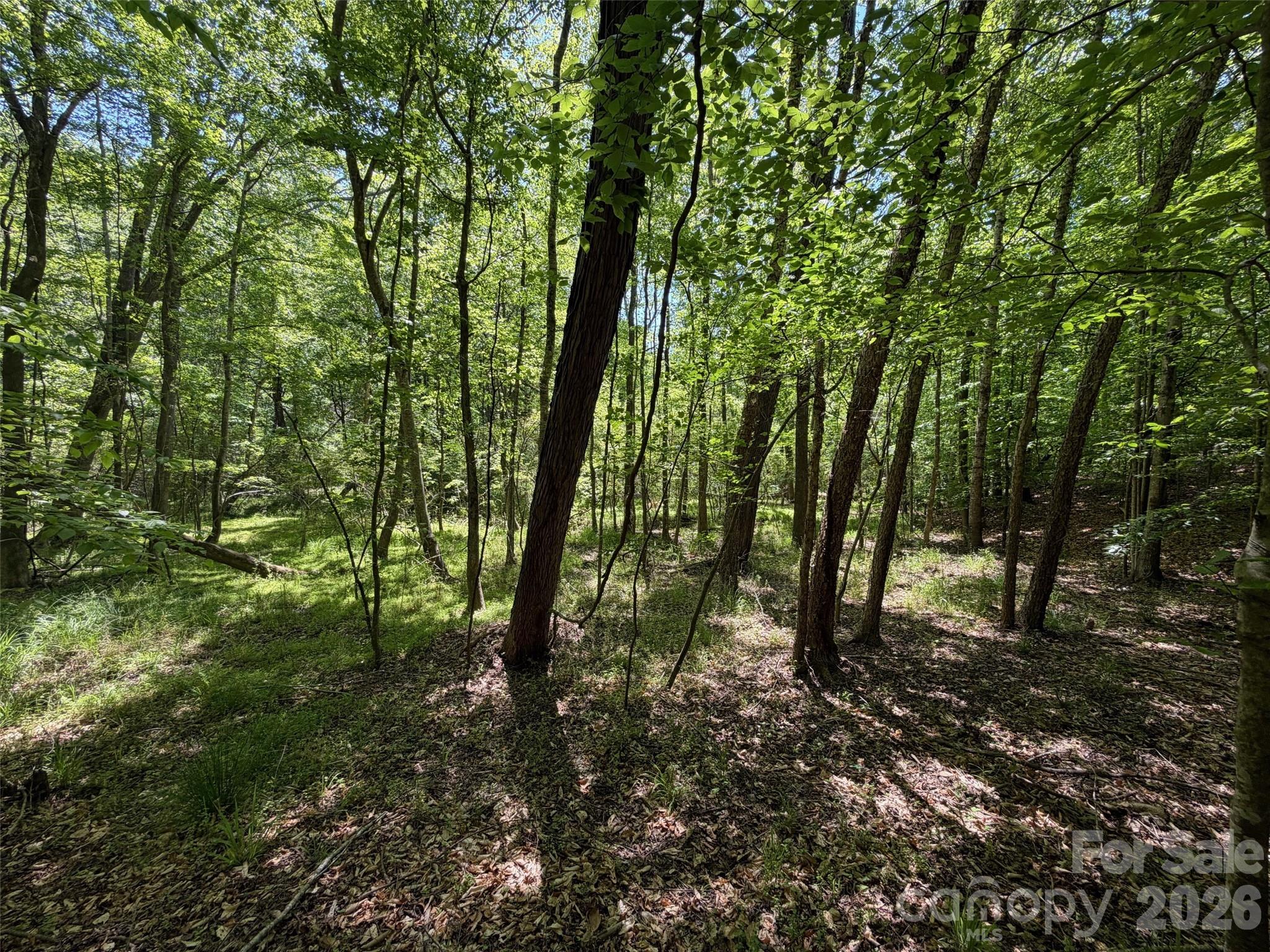 2529 Lockhart Highway Property Photo 19