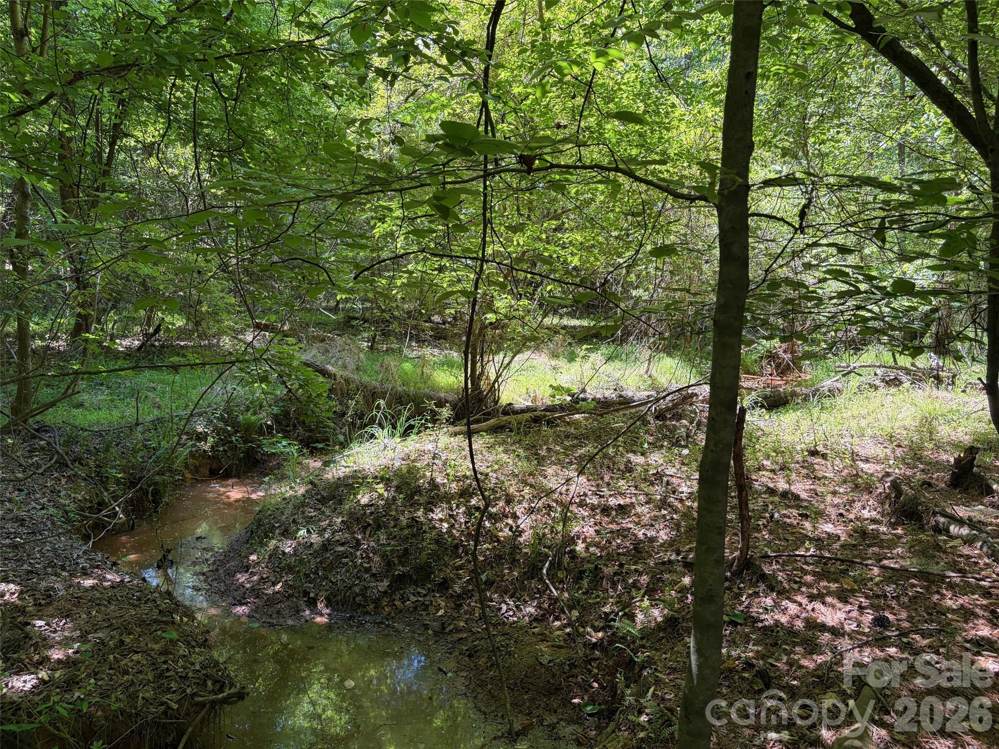 2529 Lockhart Highway Property Photo 22