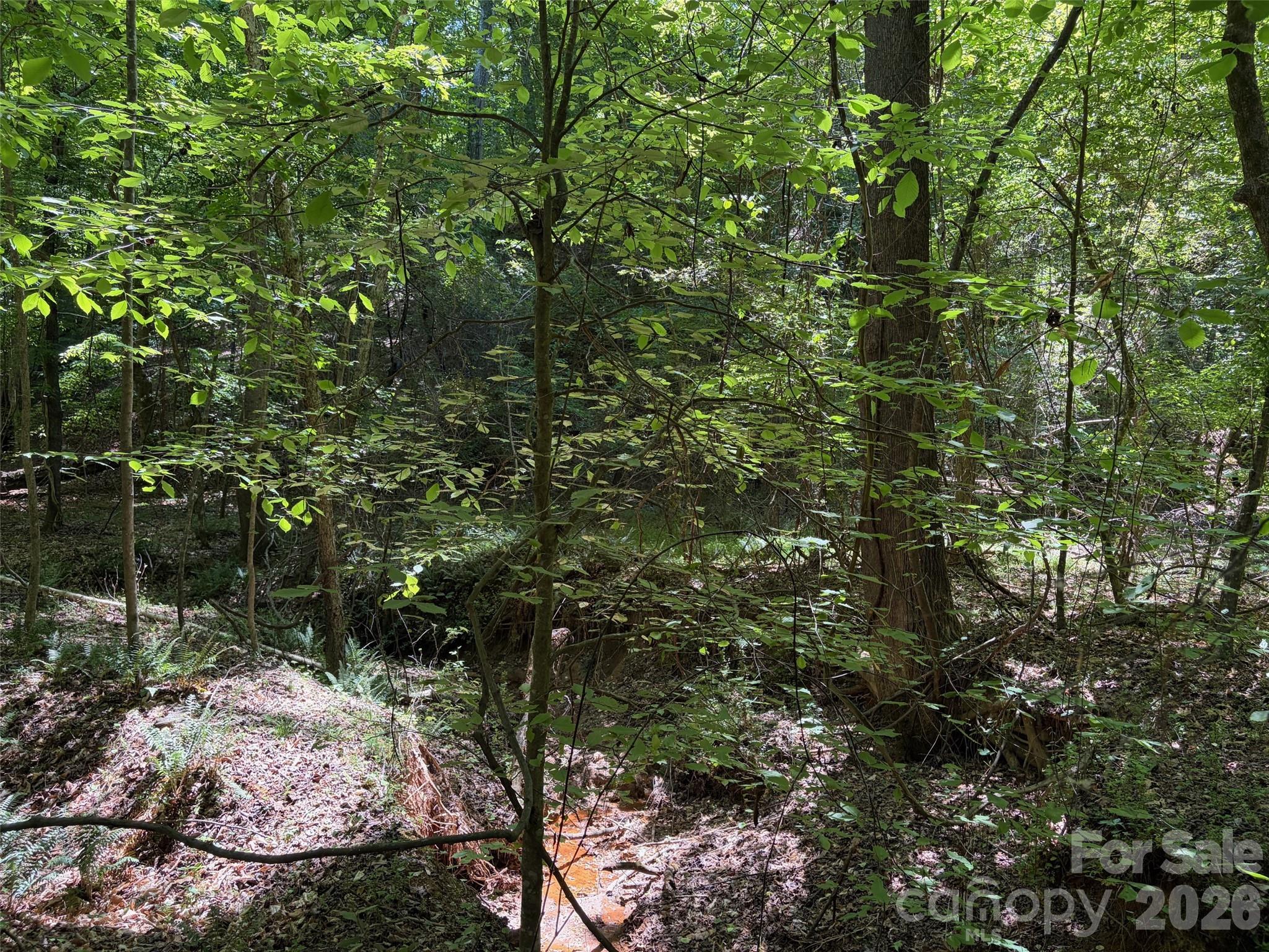 2529 Lockhart Highway Property Photo 23