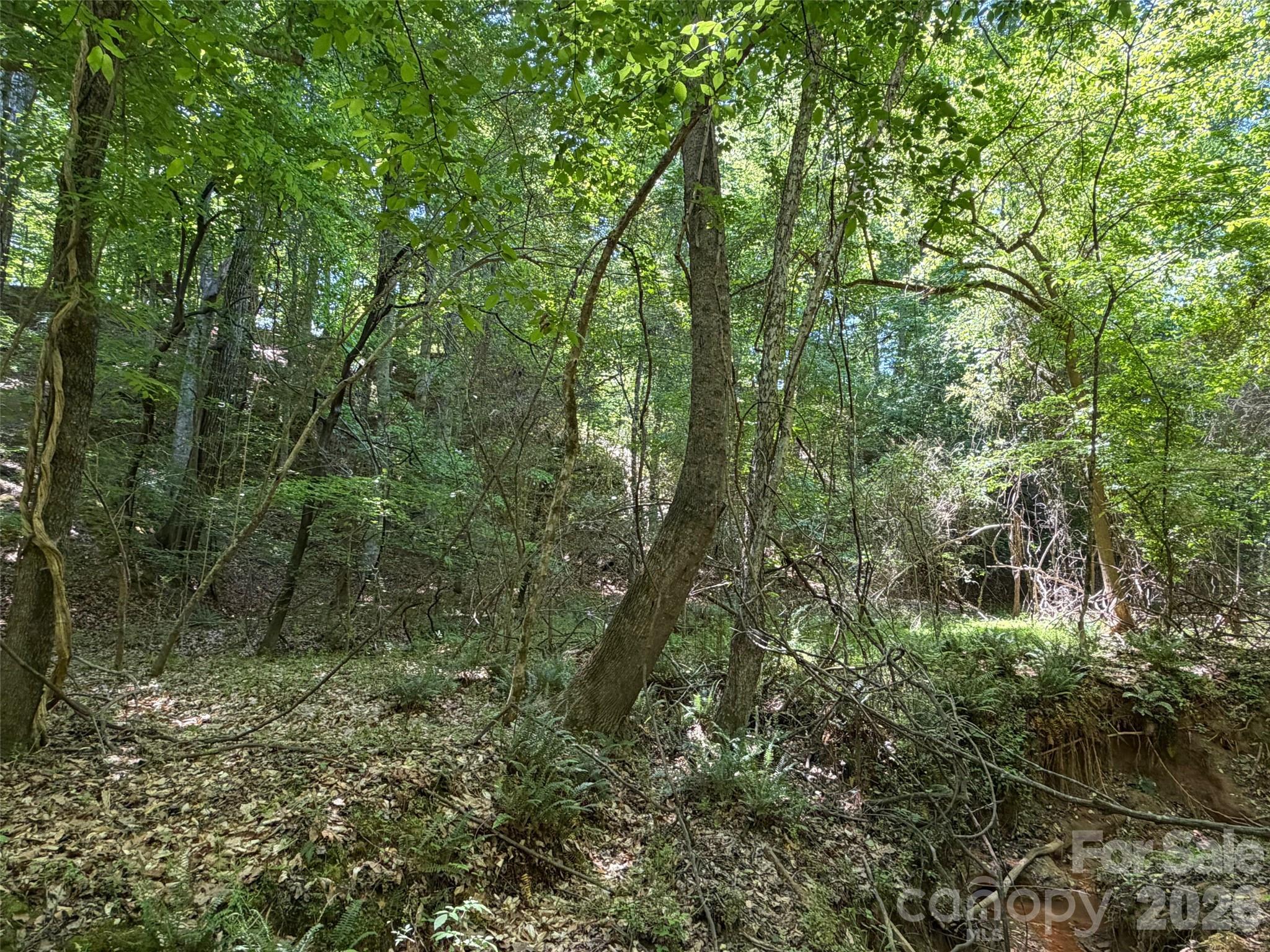 2529 Lockhart Highway Property Photo 25