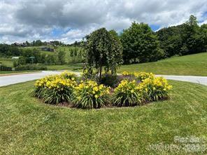 4642 Bearwallow Mountain Road 115 Property Photo 2