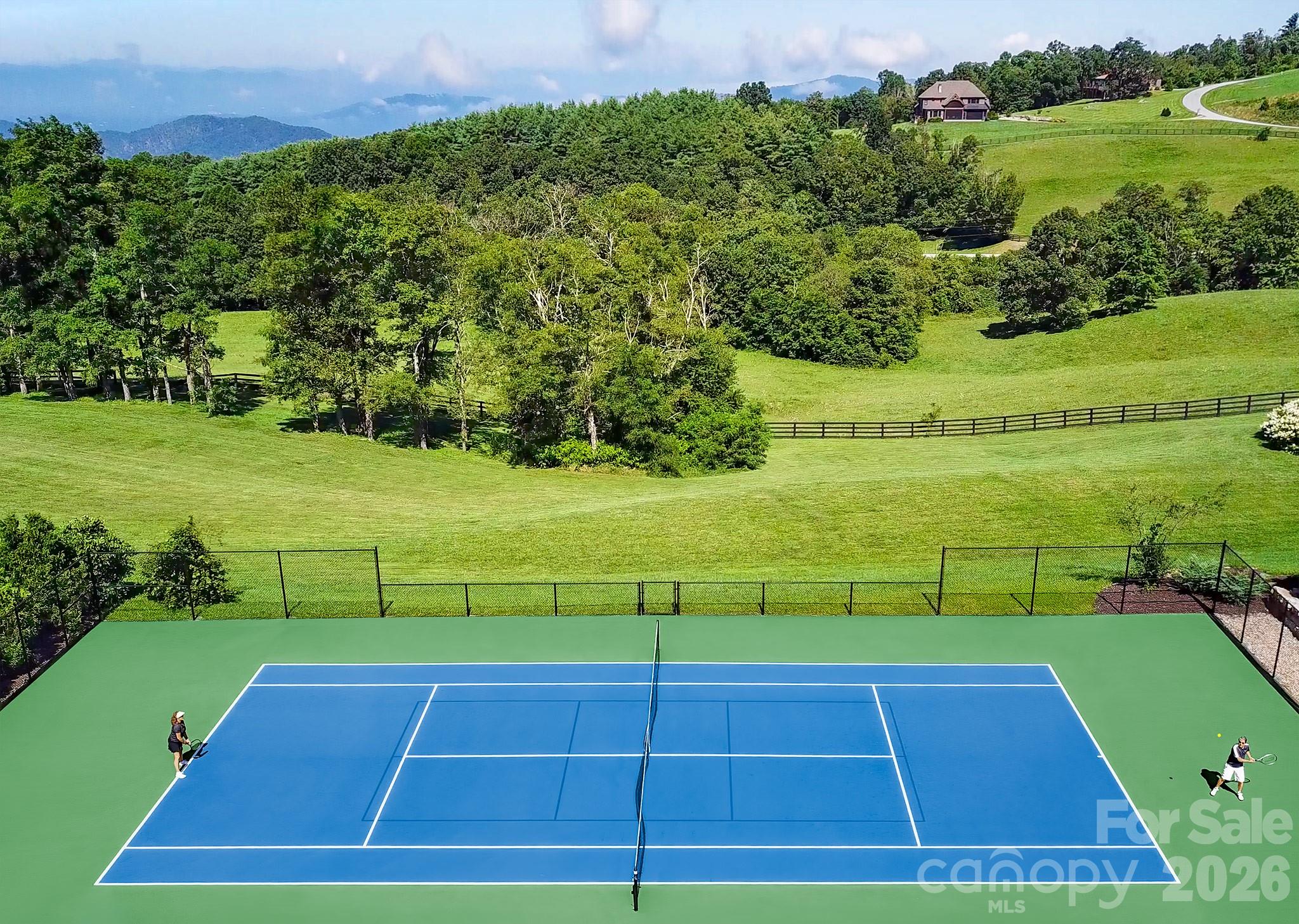 4642 Bearwallow Mountain Road 115 Property Photo 15