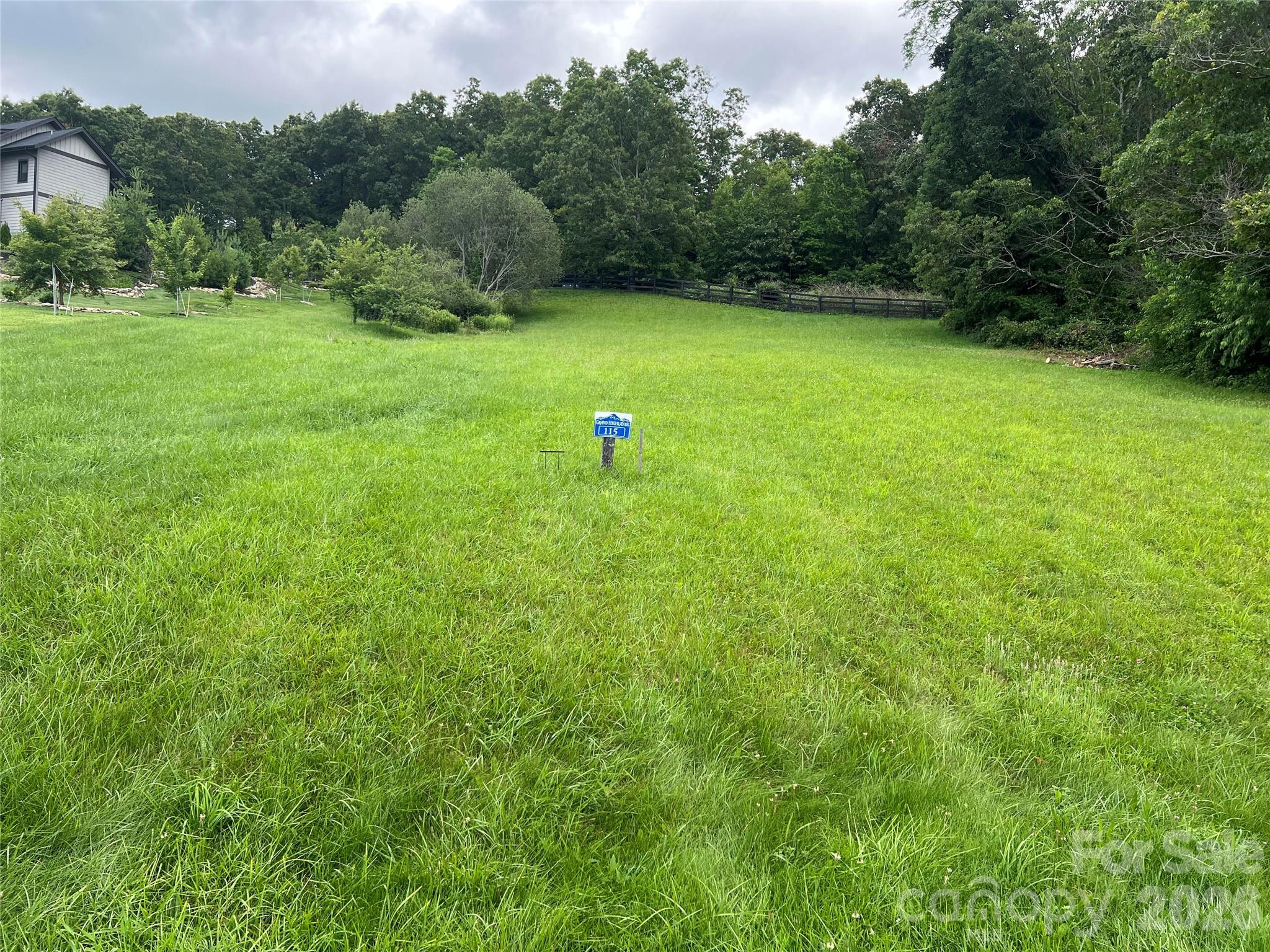 4642 Bearwallow Mountain Road 115 Property Photo 18