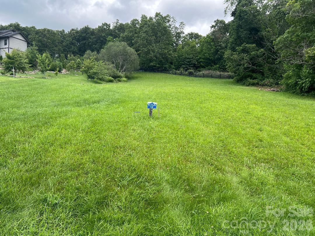 4642 Bearwallow Mountain Road 115 Property Photo 20