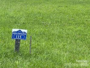 4642 Bearwallow Mountain Road 115 Property Photo 21