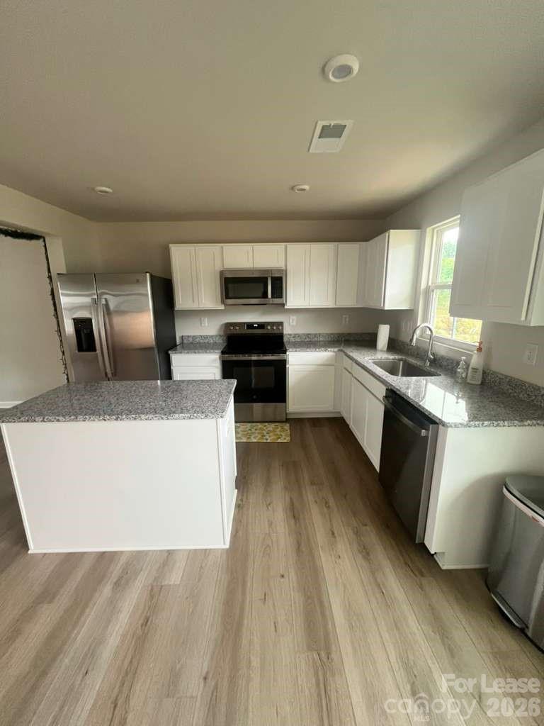 6126 Carrick Bend Court Property Photo 3