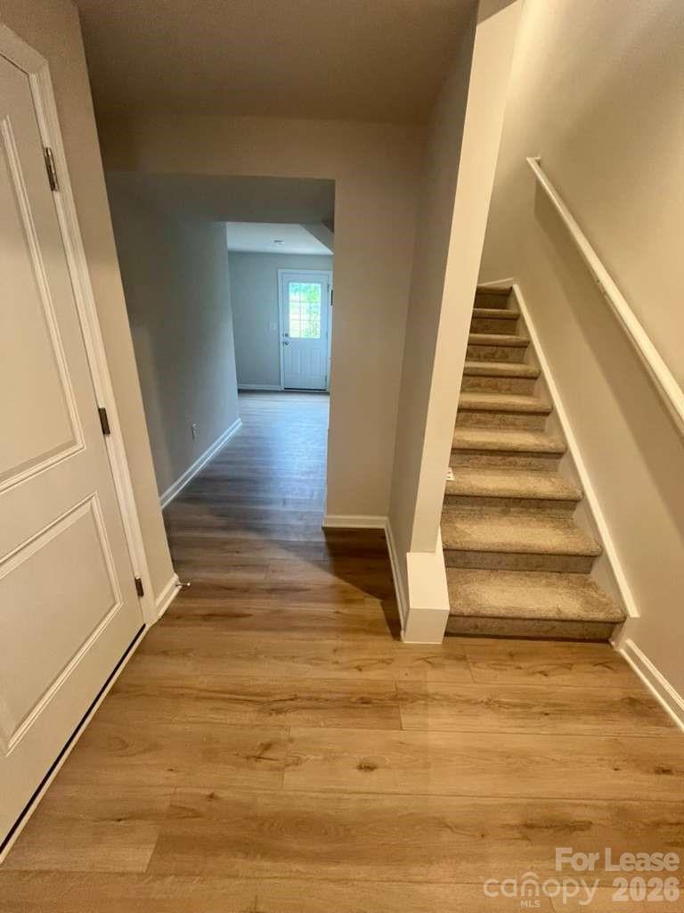 6126 Carrick Bend Court Property Photo 11