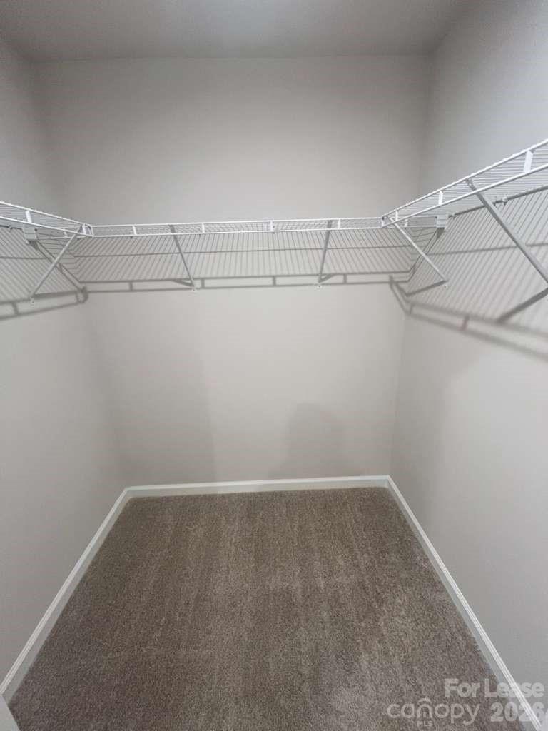 6126 Carrick Bend Court Property Photo 15