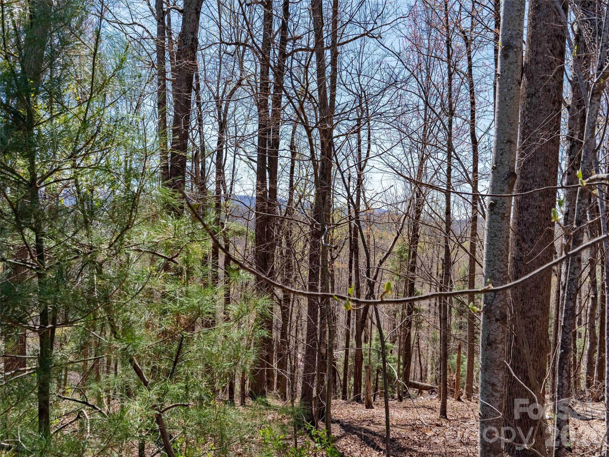 000 Glen Echo Circle Property Photo 3