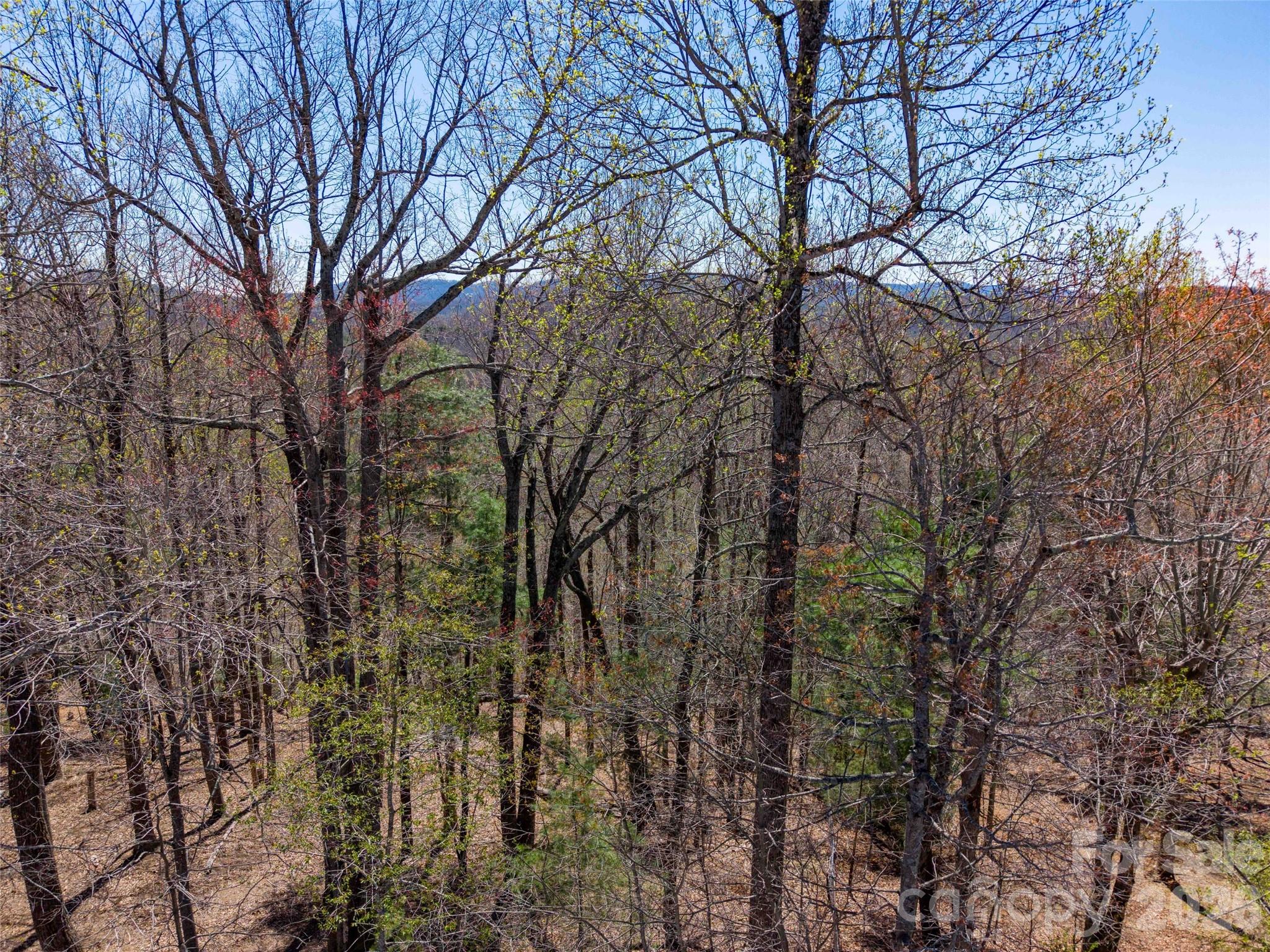 000 Glen Echo Circle Property Photo 14