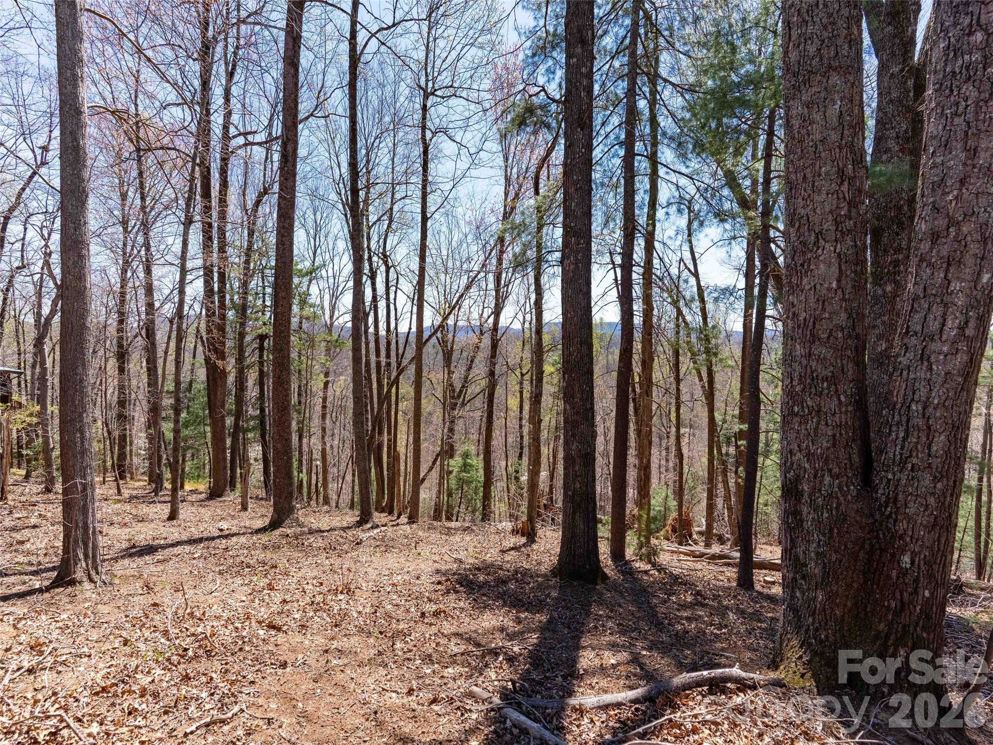 000 Glen Echo Circle Property Photo 15